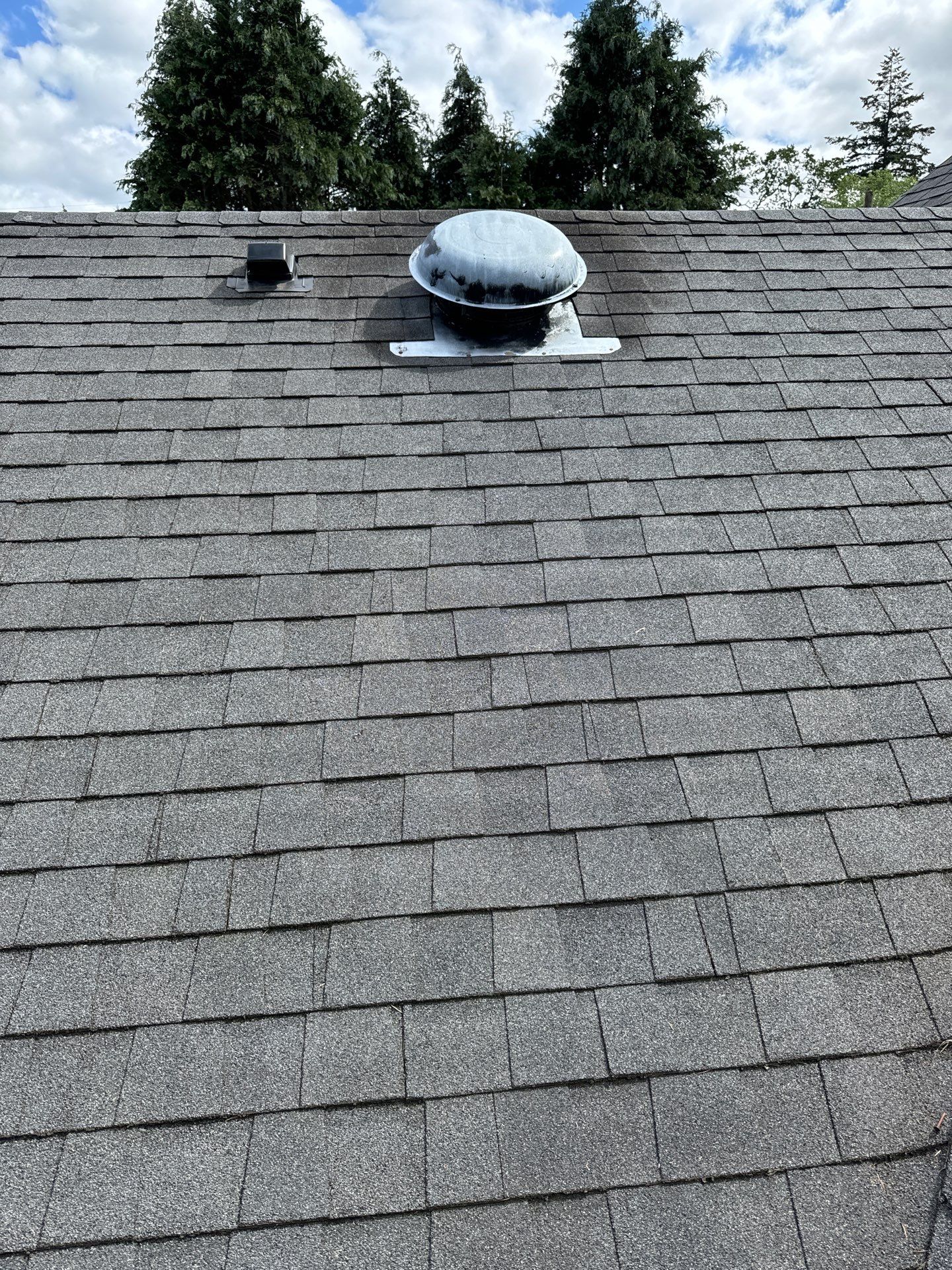 Project in Lakewood by Peaks and Valleys Construction