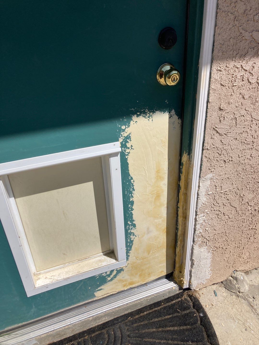 Repair Door Face by Andre Handyman