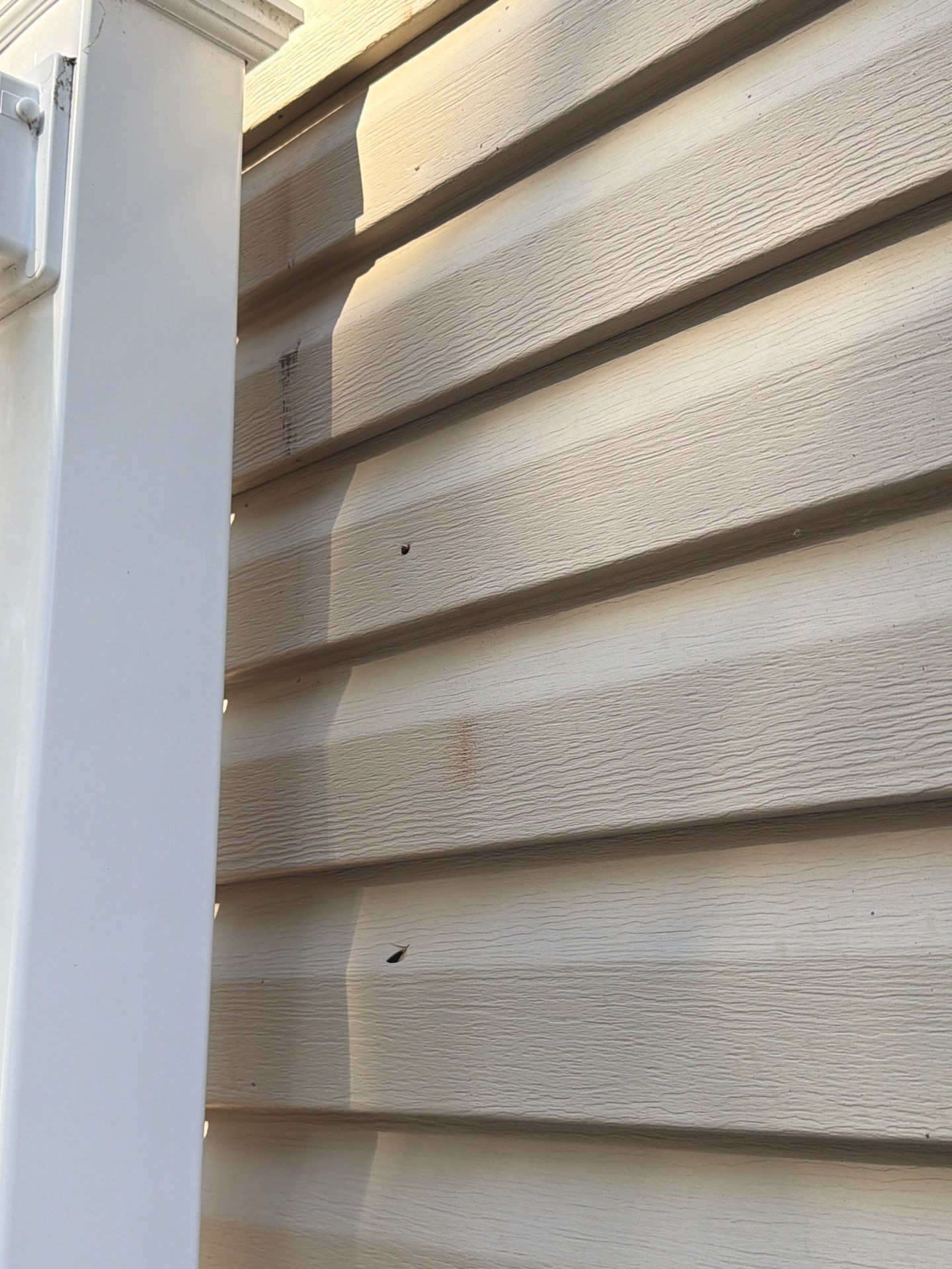 GAF Shingle Roof Replacement and Siding Restoration in Kirkwood by Acute Roofing And Exteriors 