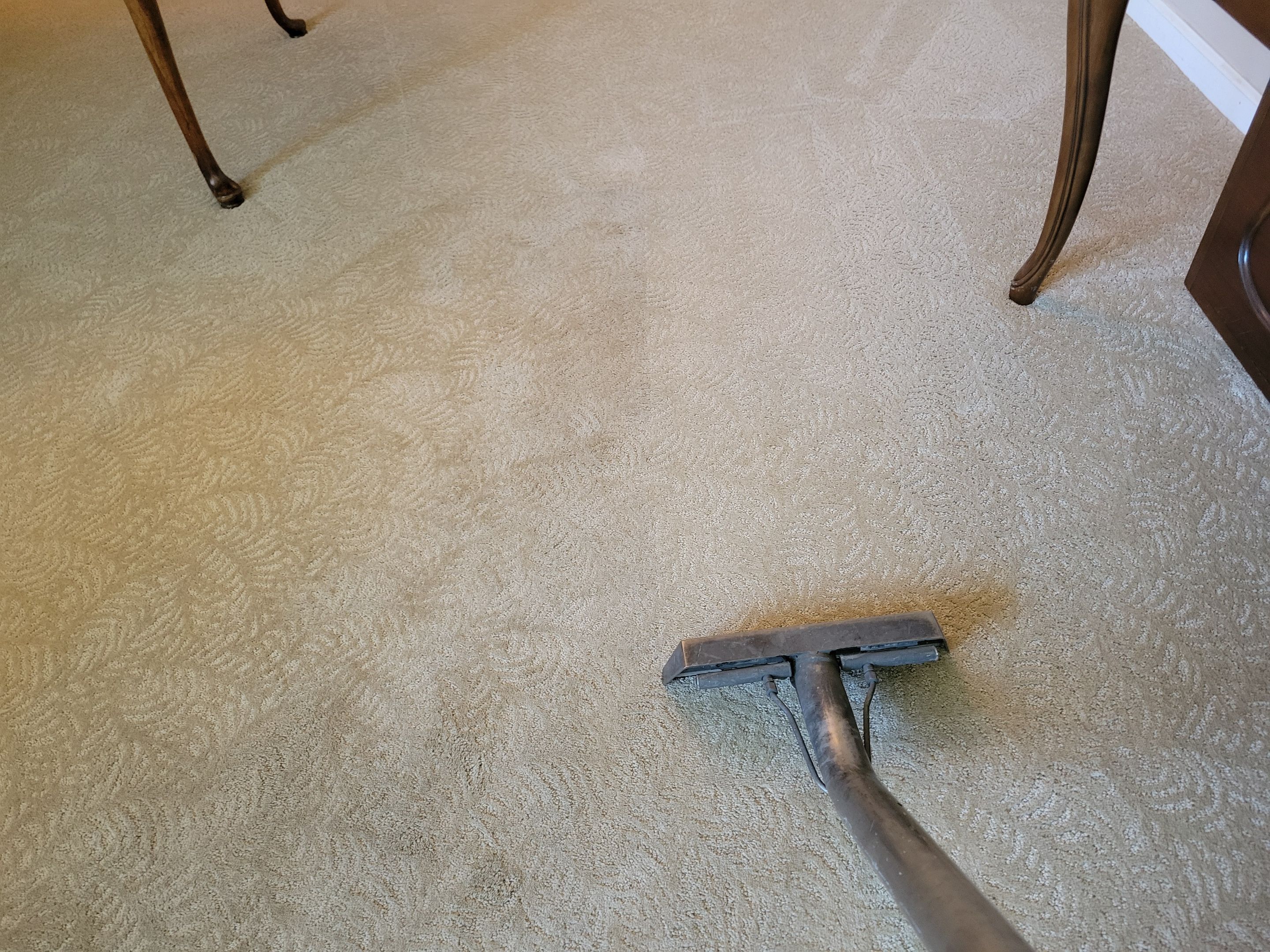 Carpet Cleaning in South Land Park by Ardent Carpet Restore LLC