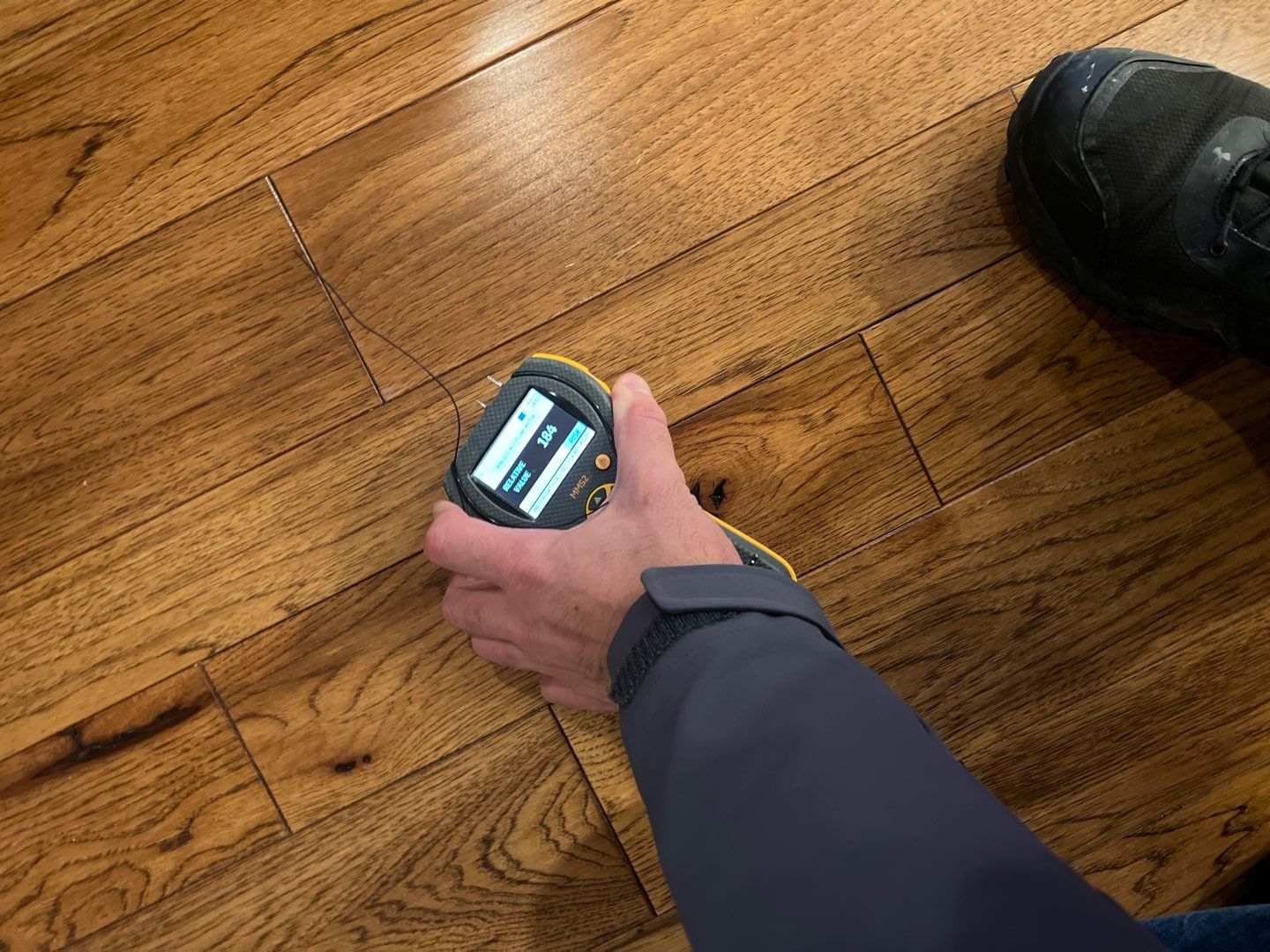 Project in Brighton by EzDry Water Mitigation & Property Restoration