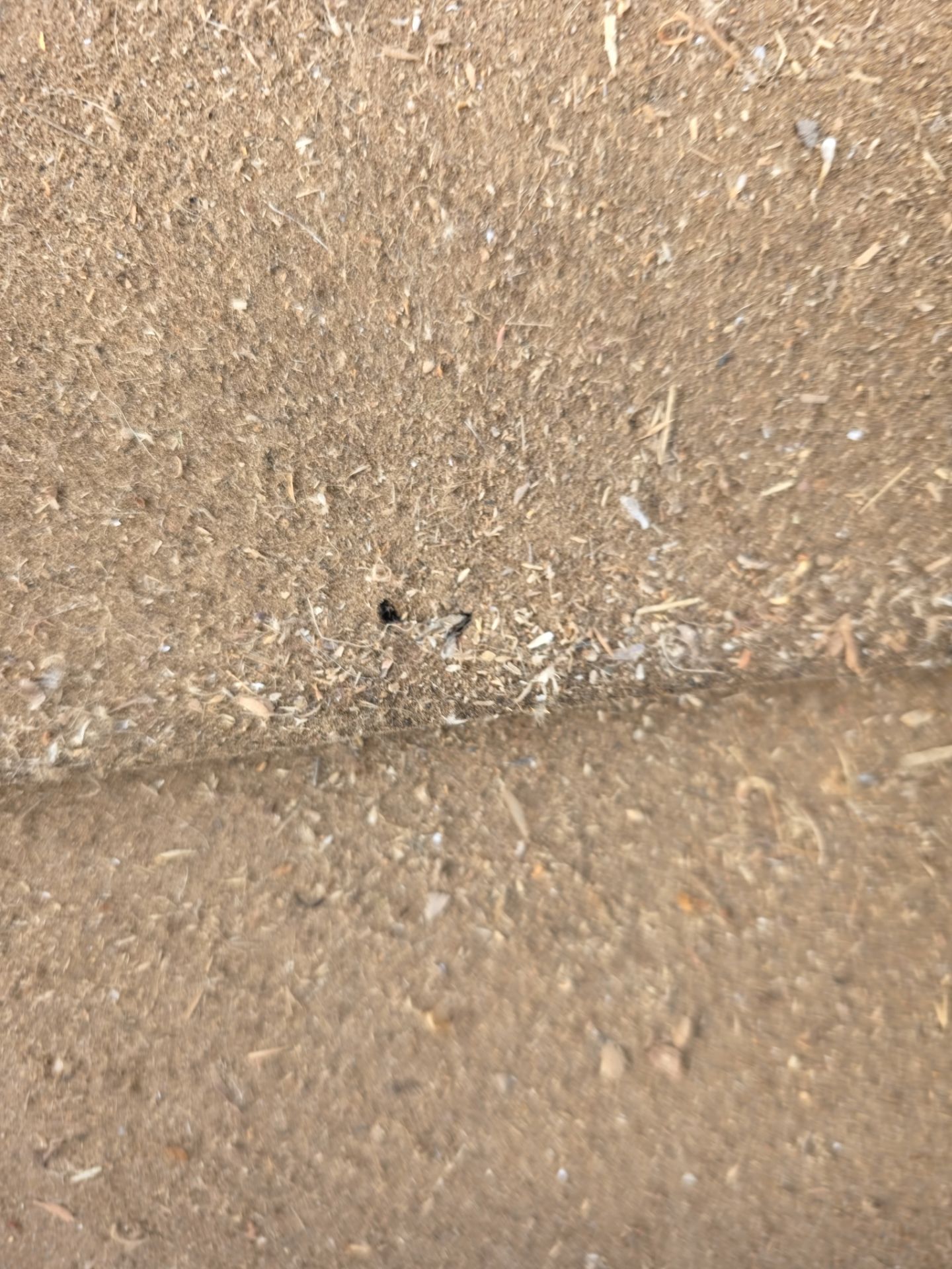 Protect Your Investment: Arizona Roofing Company's Expertise at Work! by Weather-Tite Roofing