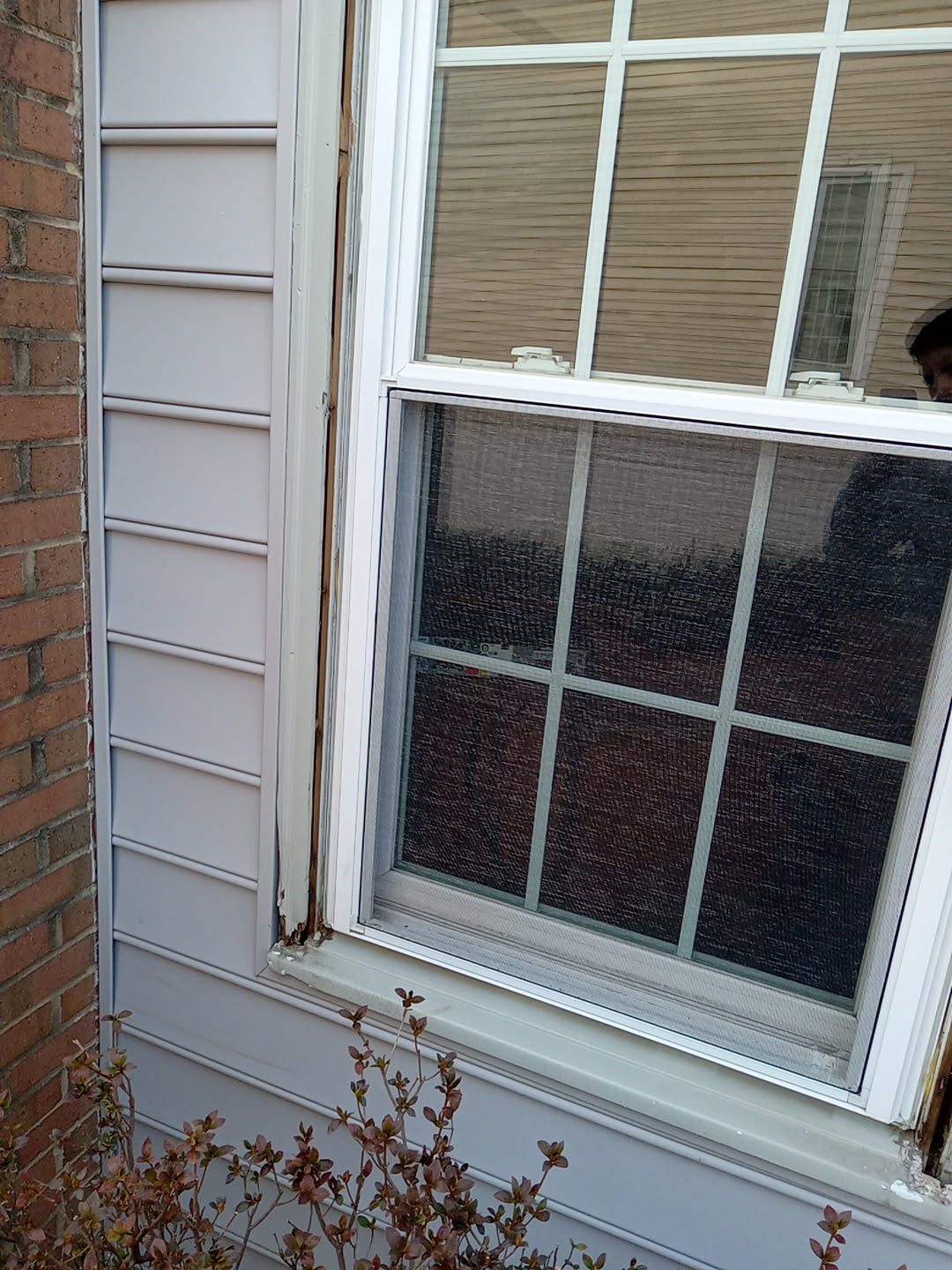 Sterling: Multi-Trade Insurance Restoration by RM Banning, Inc.