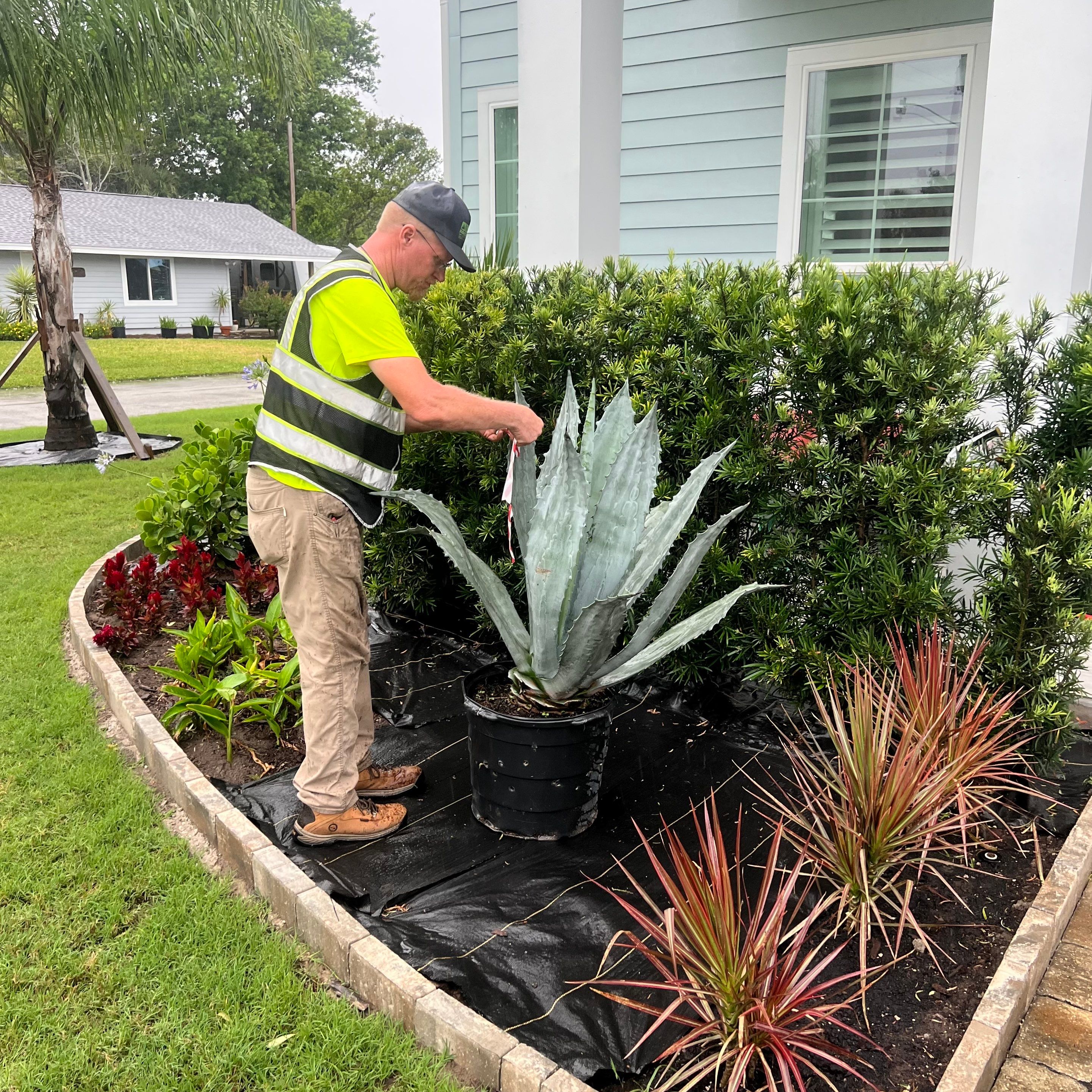 Rock & Agave Installation | Residential by ProGreen Services