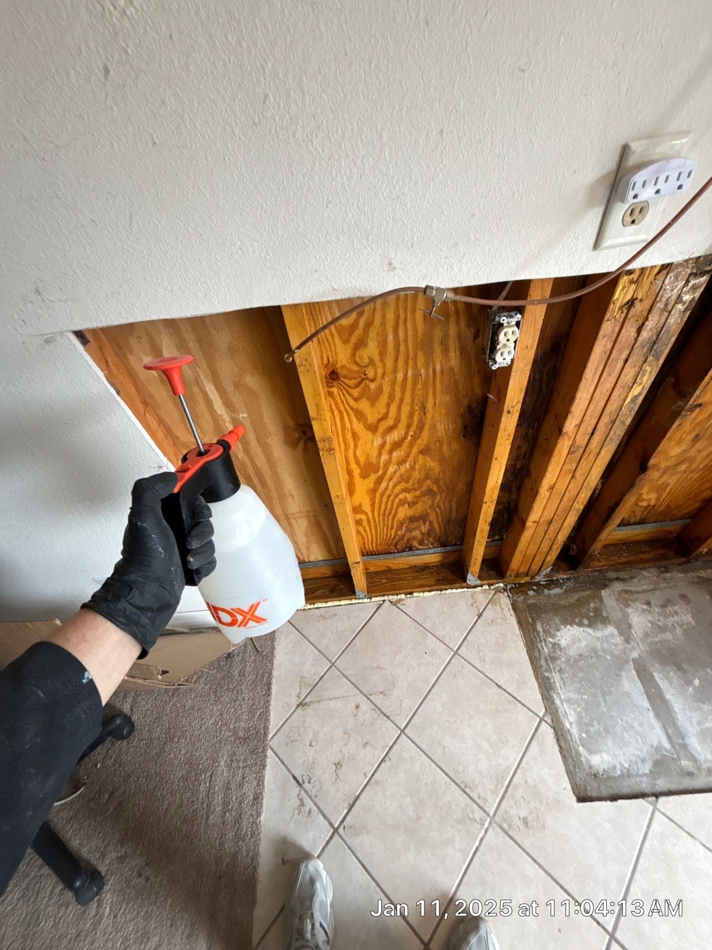 Remediation Of Mold by Ampm Restoration Services