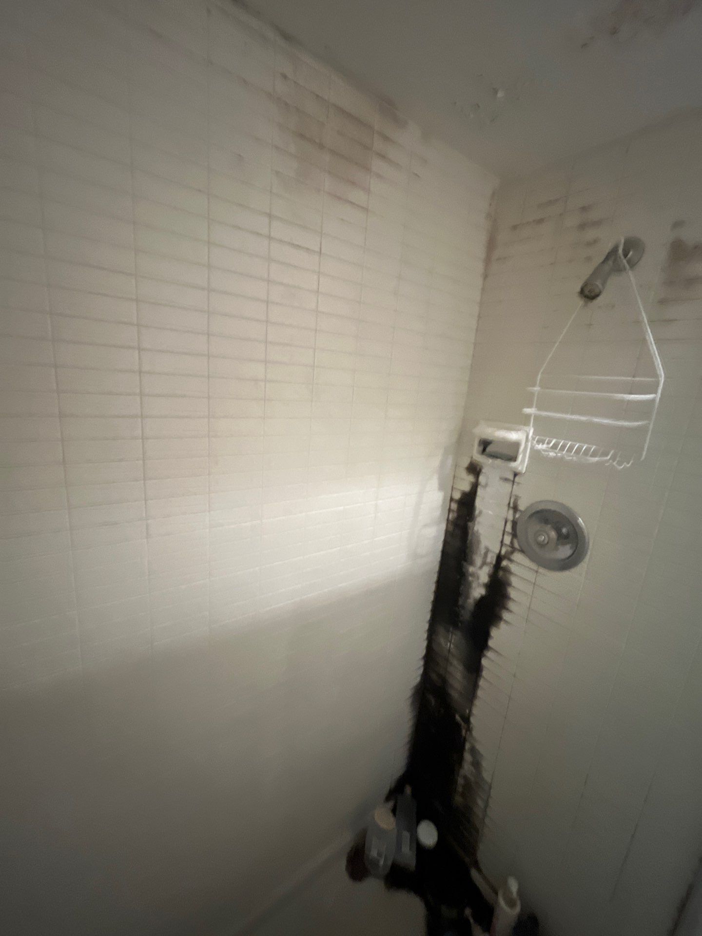 Molds got to go! by Snap Home Solutions