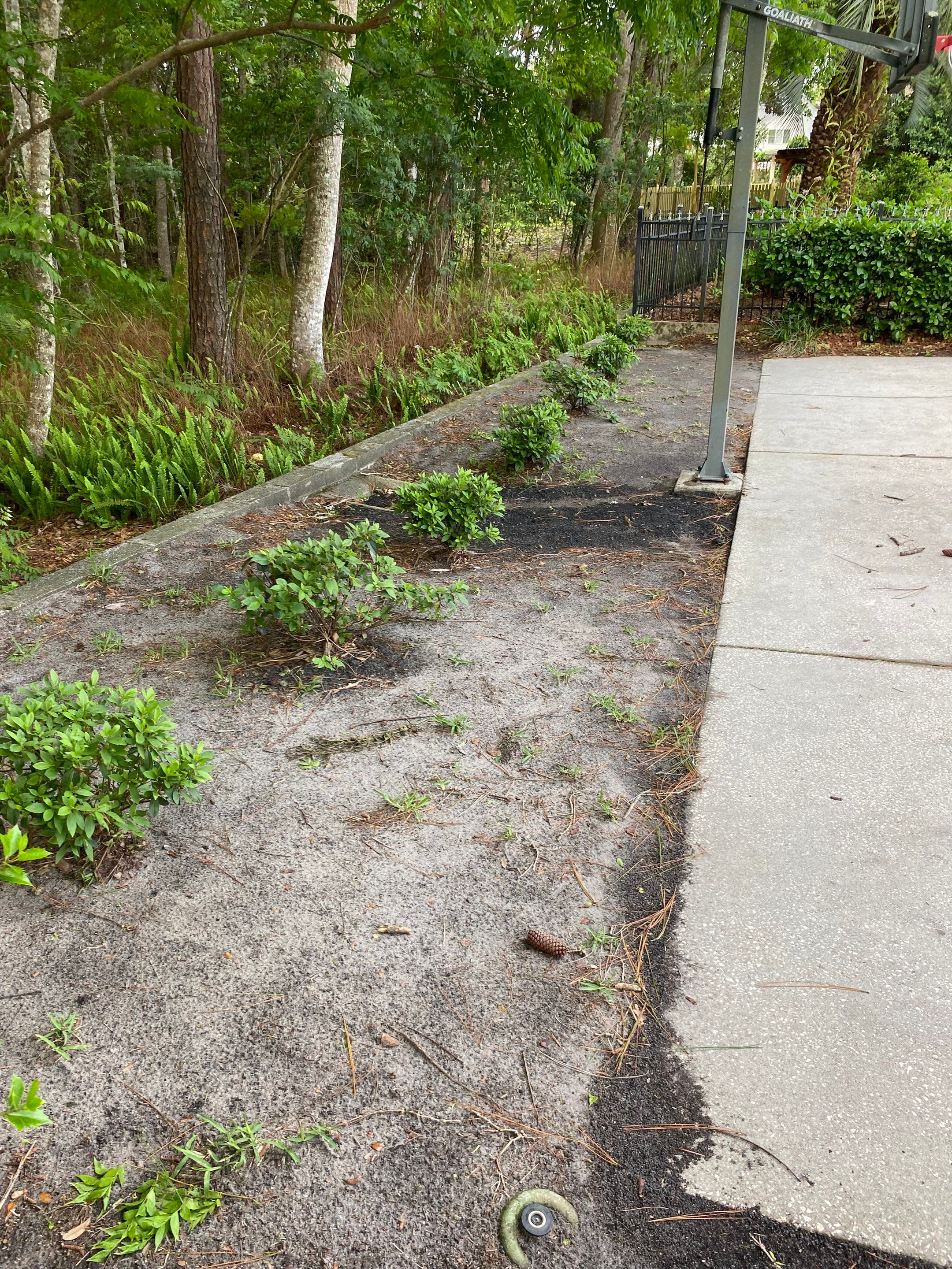 Deerwood Resident | Pine Straw Installation by ProGreen Services