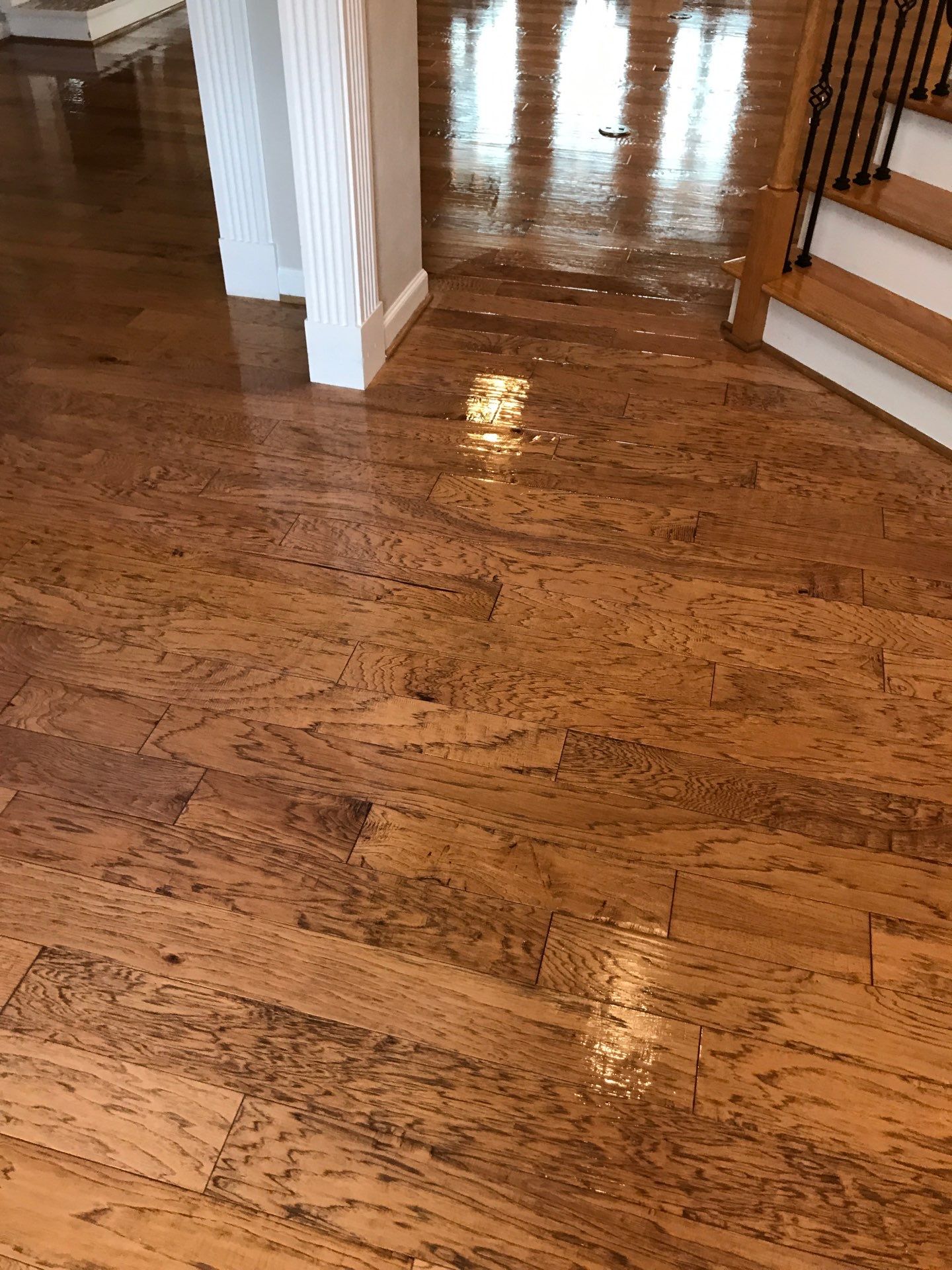 Hardwood Renewal by Monster Clean