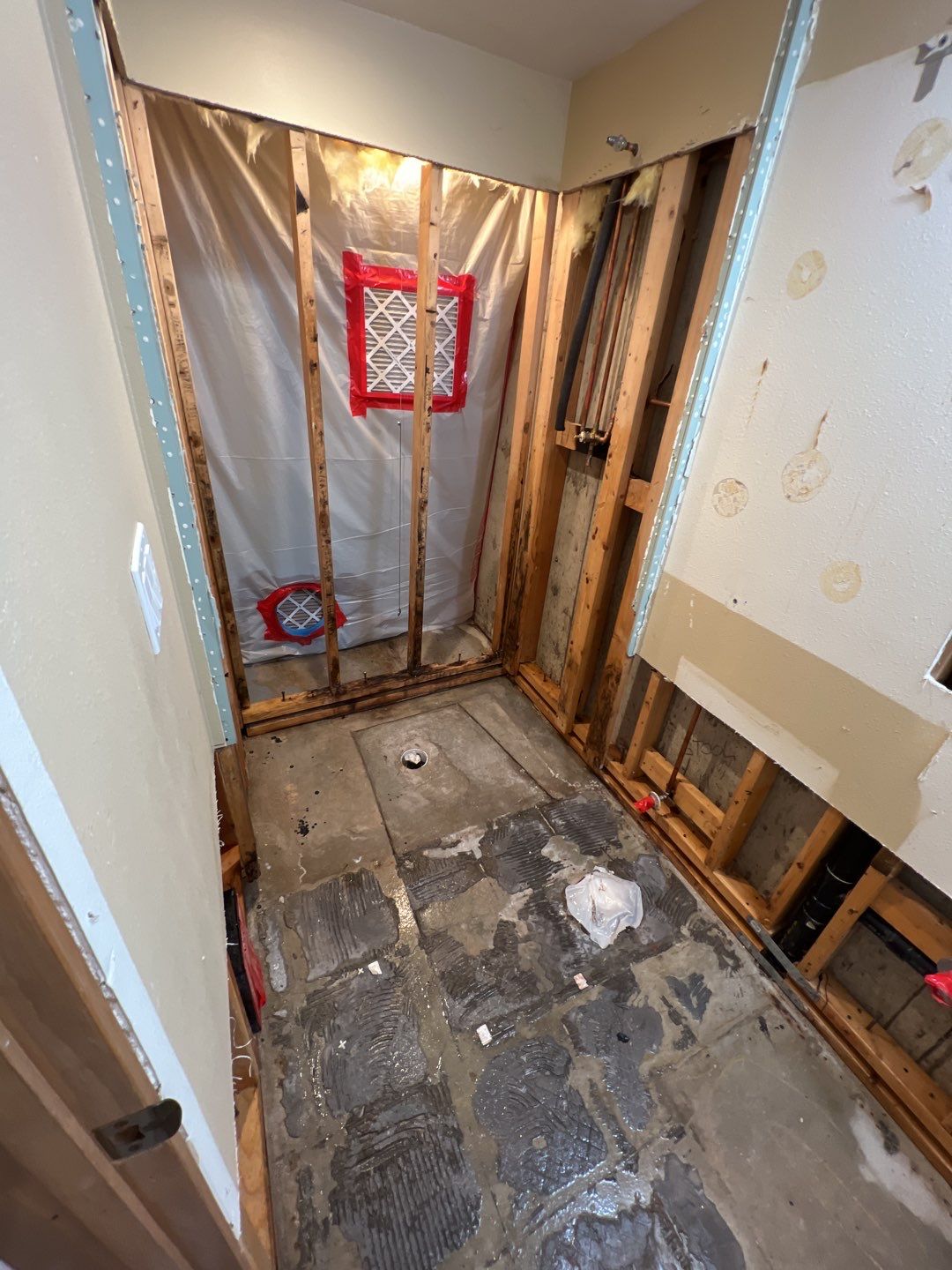 Mold Remediation by Accountable Home Services