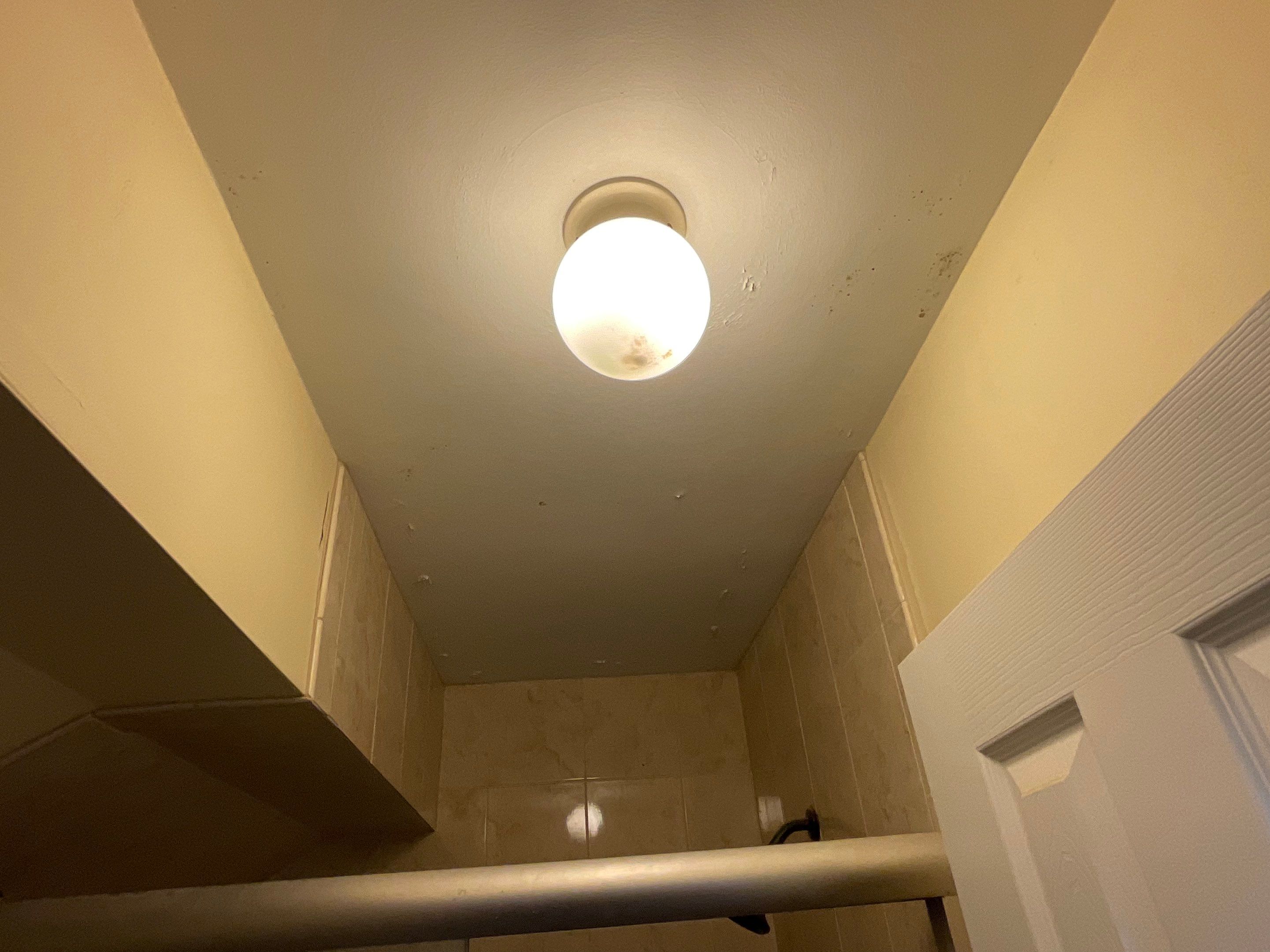 Install new shingles and new skylights  by Alpha Design Services