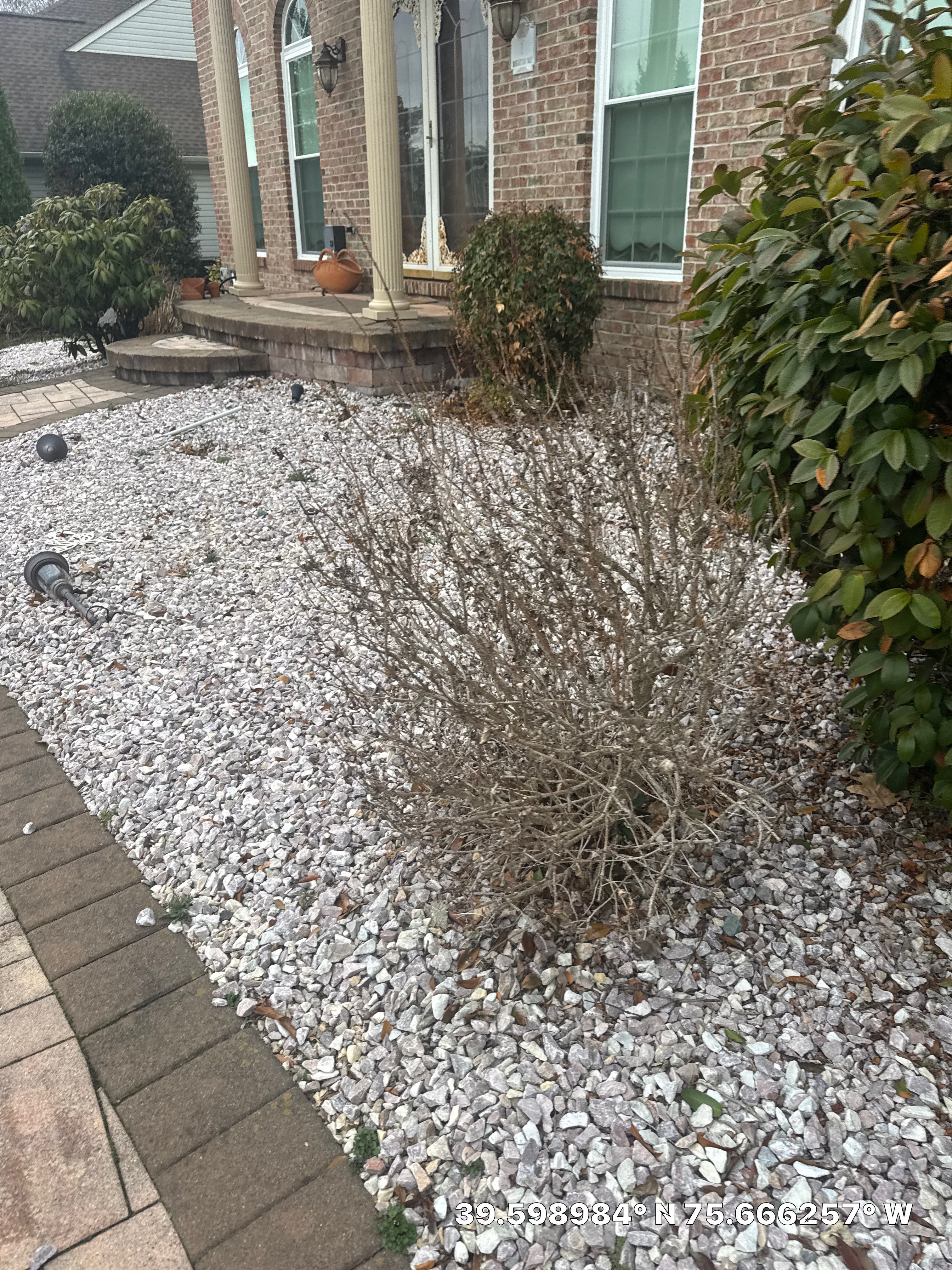 Project in Bear by Studio G Indoor Spaces & Outdoor Living