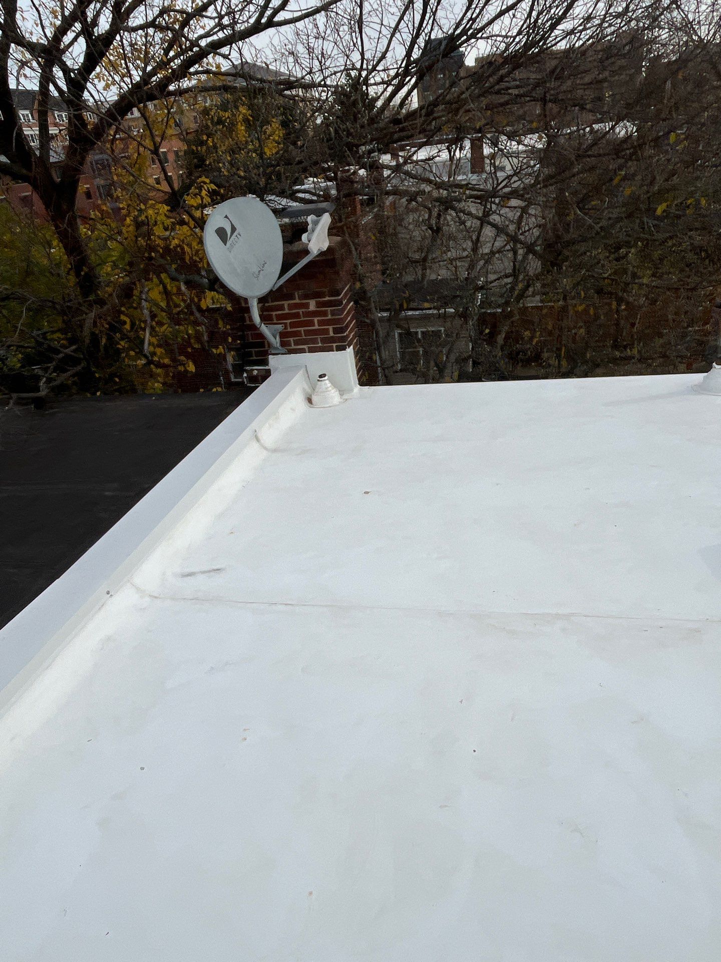 Alexandria: Residential Flat Roof Replacement with Mule Hide TPO Membrane by RM Banning, Inc.