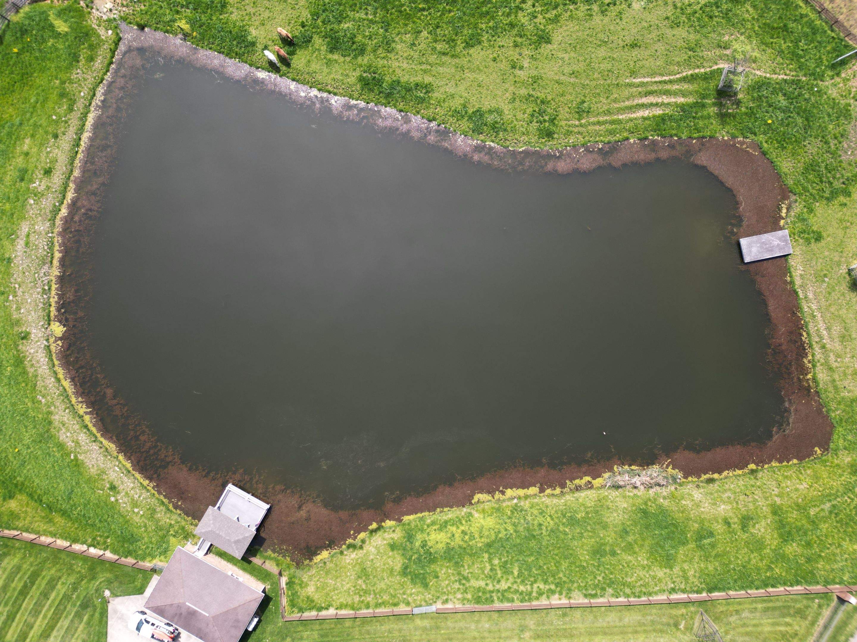 Maas Project by  Bellus Aquatic Solutions