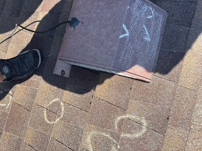 Project in Austin