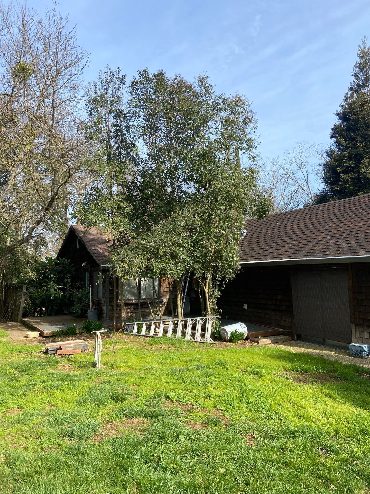 Roof Rejuvenation using Roof Maxx Treatment by Roof Maxx of Folsom