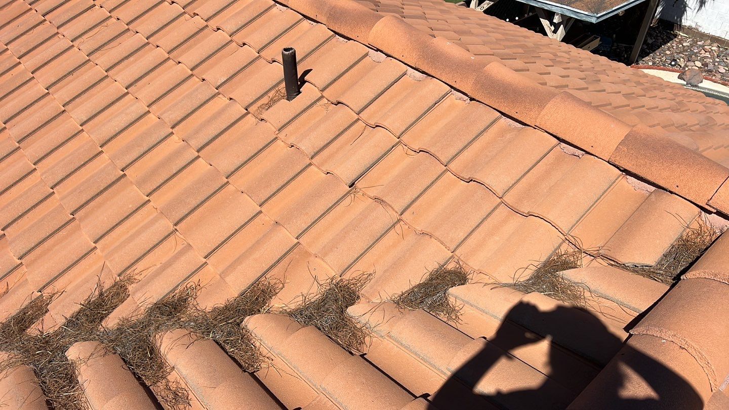 Sunset Tan Concrete Tile by Reimagine Roofing