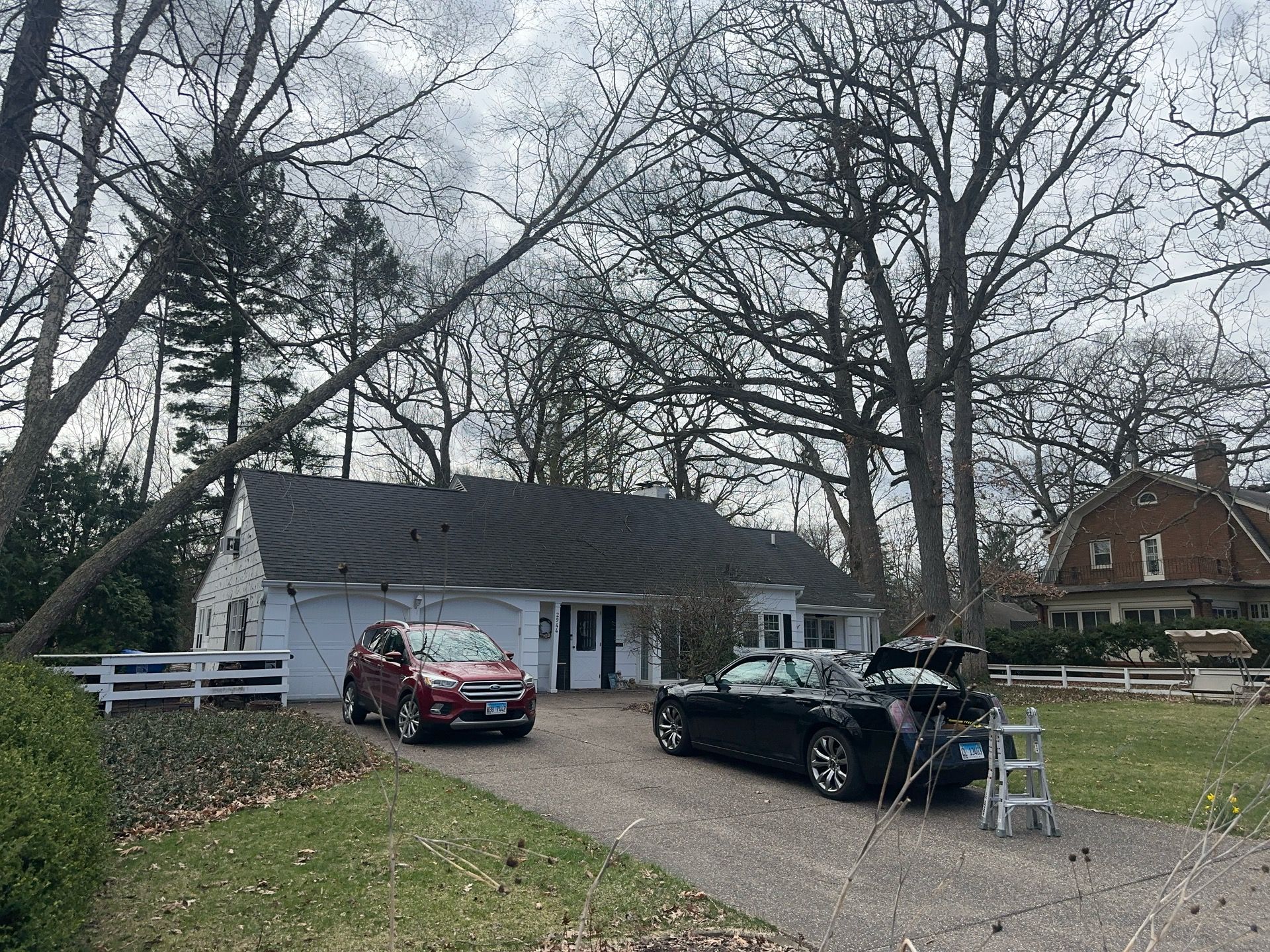 ELLEN HOGBIN by Erie Home