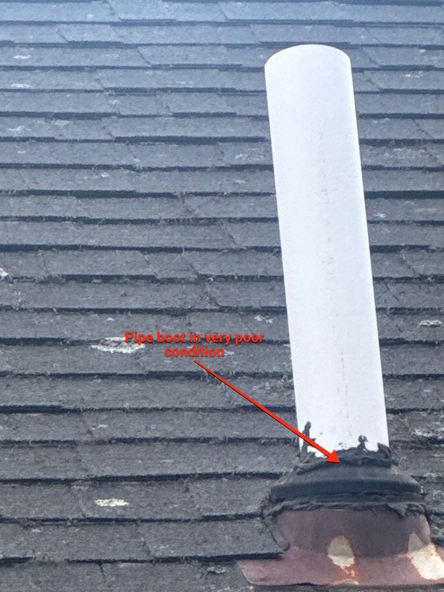 Tyee Roofing Replacement  by Tyee Construction Corp