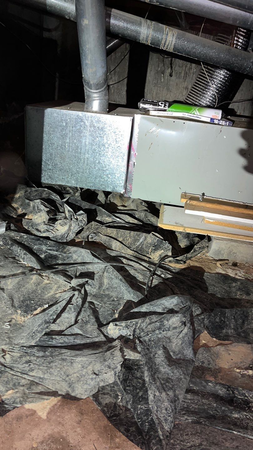 Mold Damage Project in Littleton by Accountable Home Services