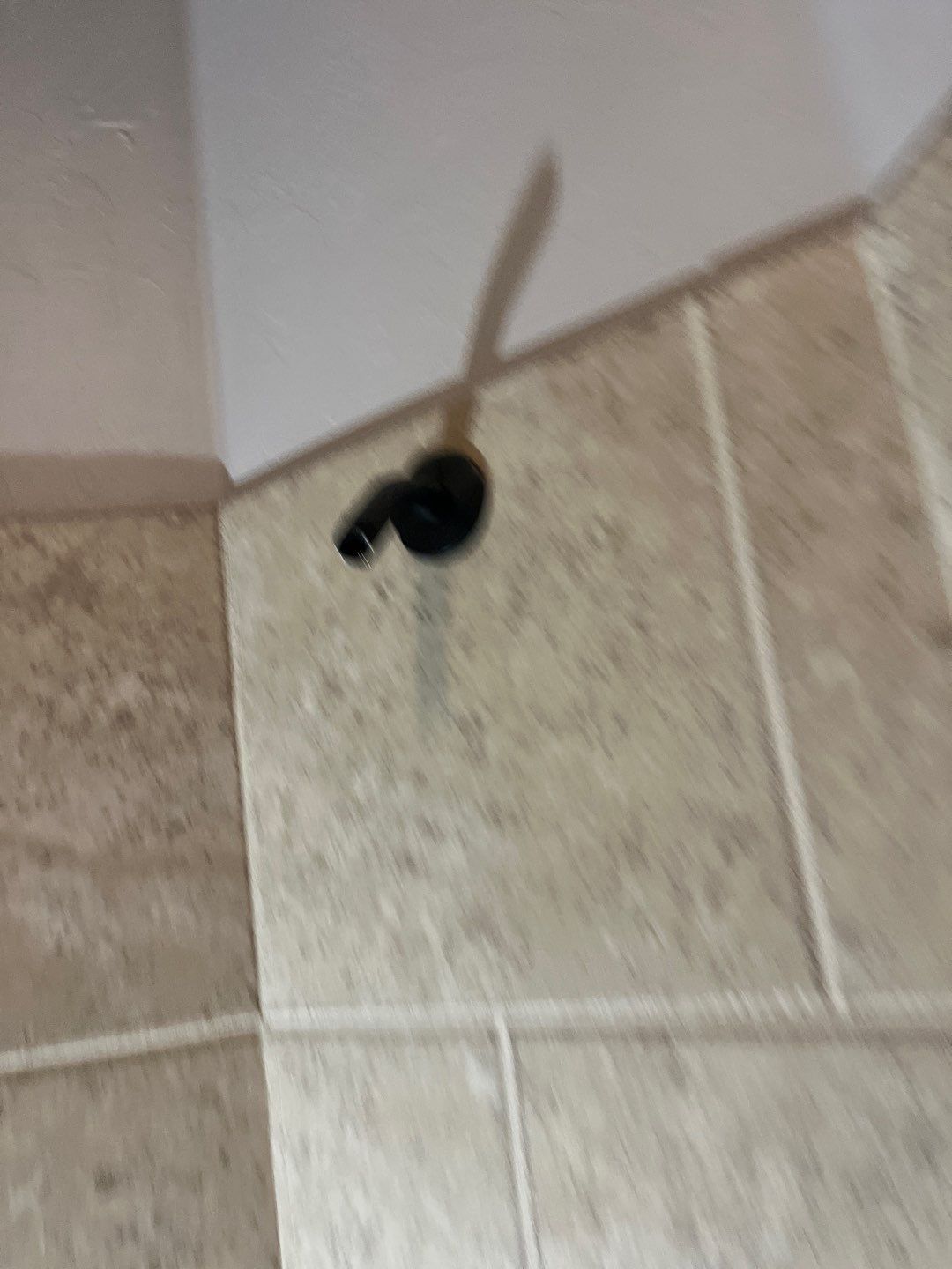 Project in Edmond by PRO-ROOTER