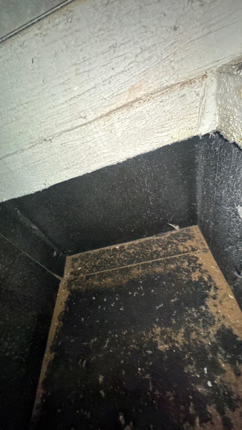 Dirty Air Duct Cleaning in Clermont by Hygienic Air, Inc