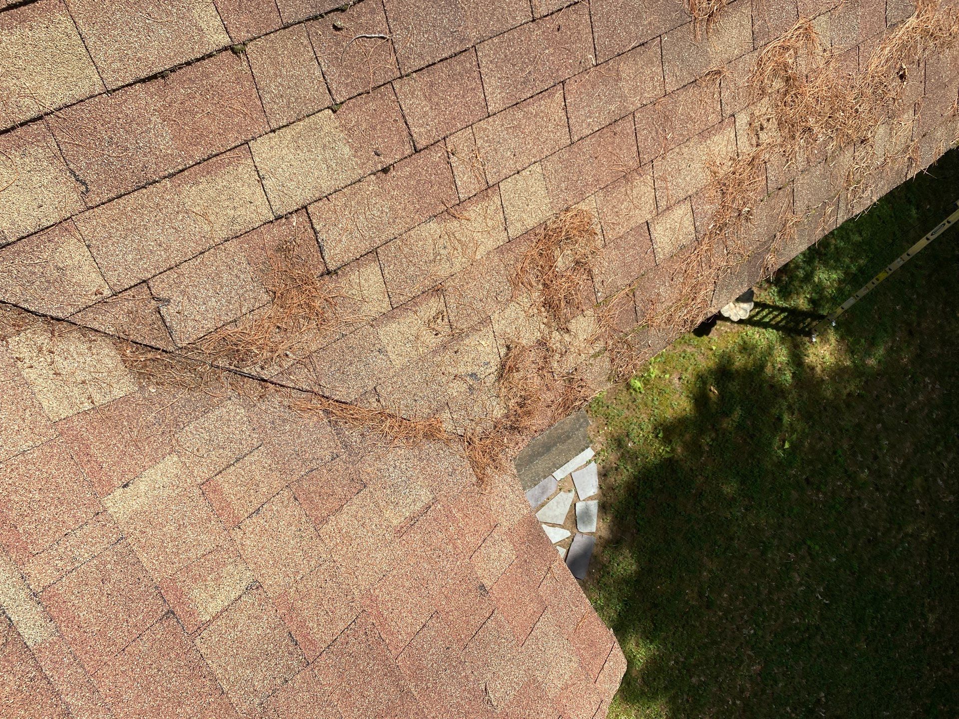 Roof Replacement – Rosalie Brown, MA by Mighty Dog Roofing of Greater Middlesex County