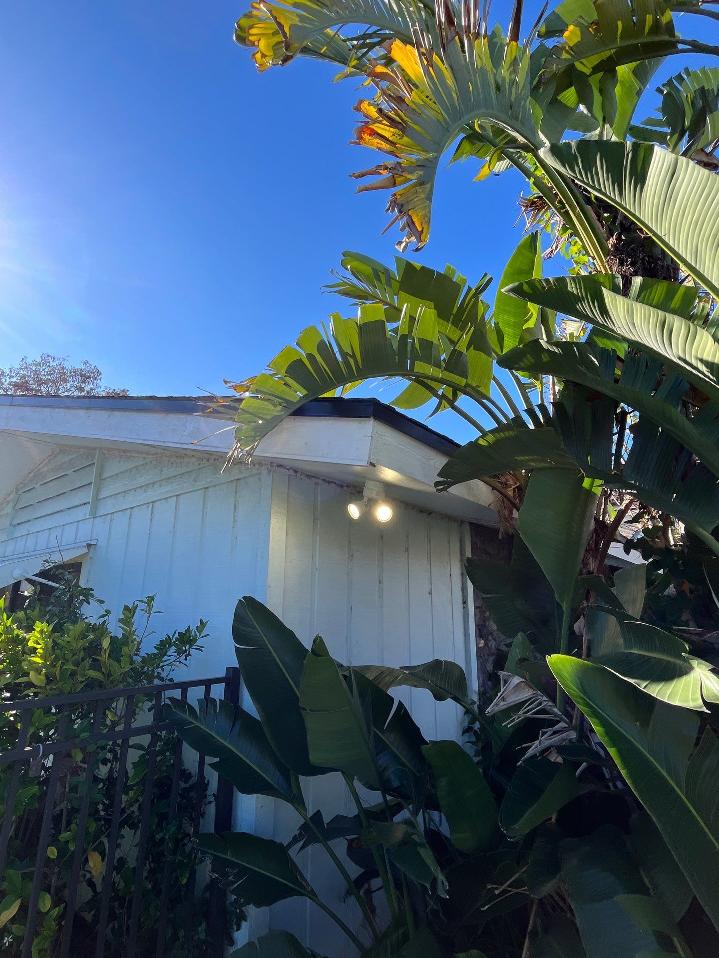 Flood Light Installation in Winter Park by Smartron Electric