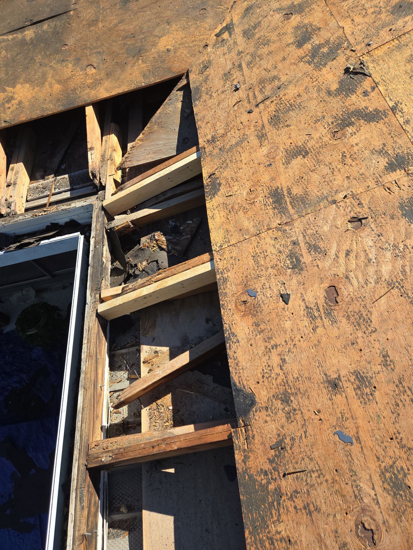 Project in St. Petersburg 33702 by Mitchell Roofing Company LLC