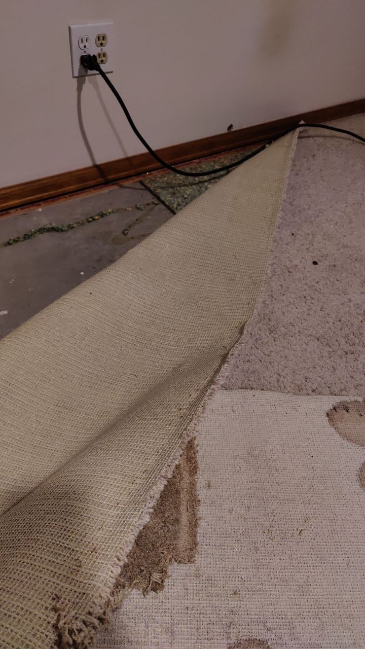 Water Damage  by Accountable Home Services