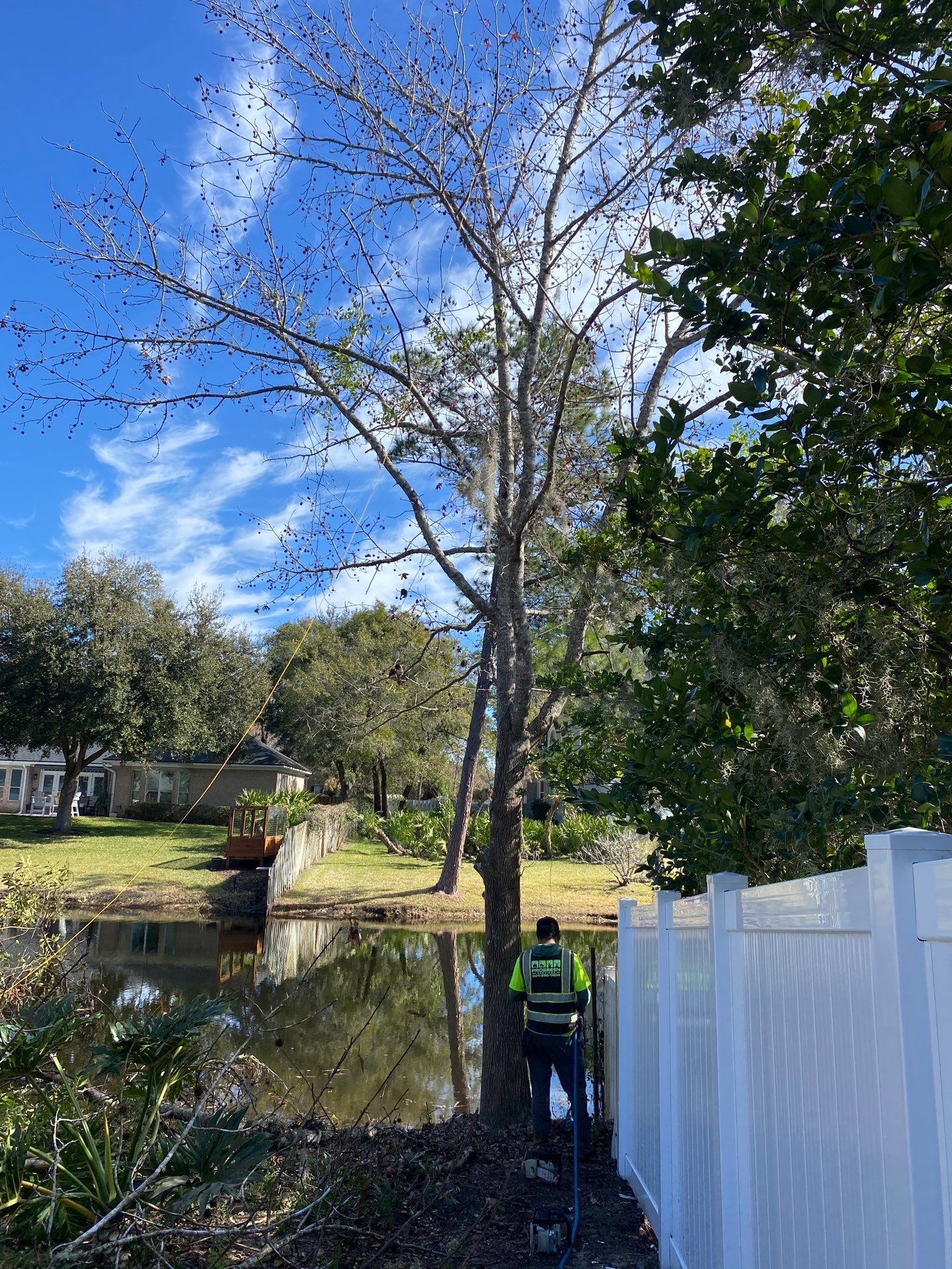 Deerwood Resident | Tree Removal by ProGreen Services