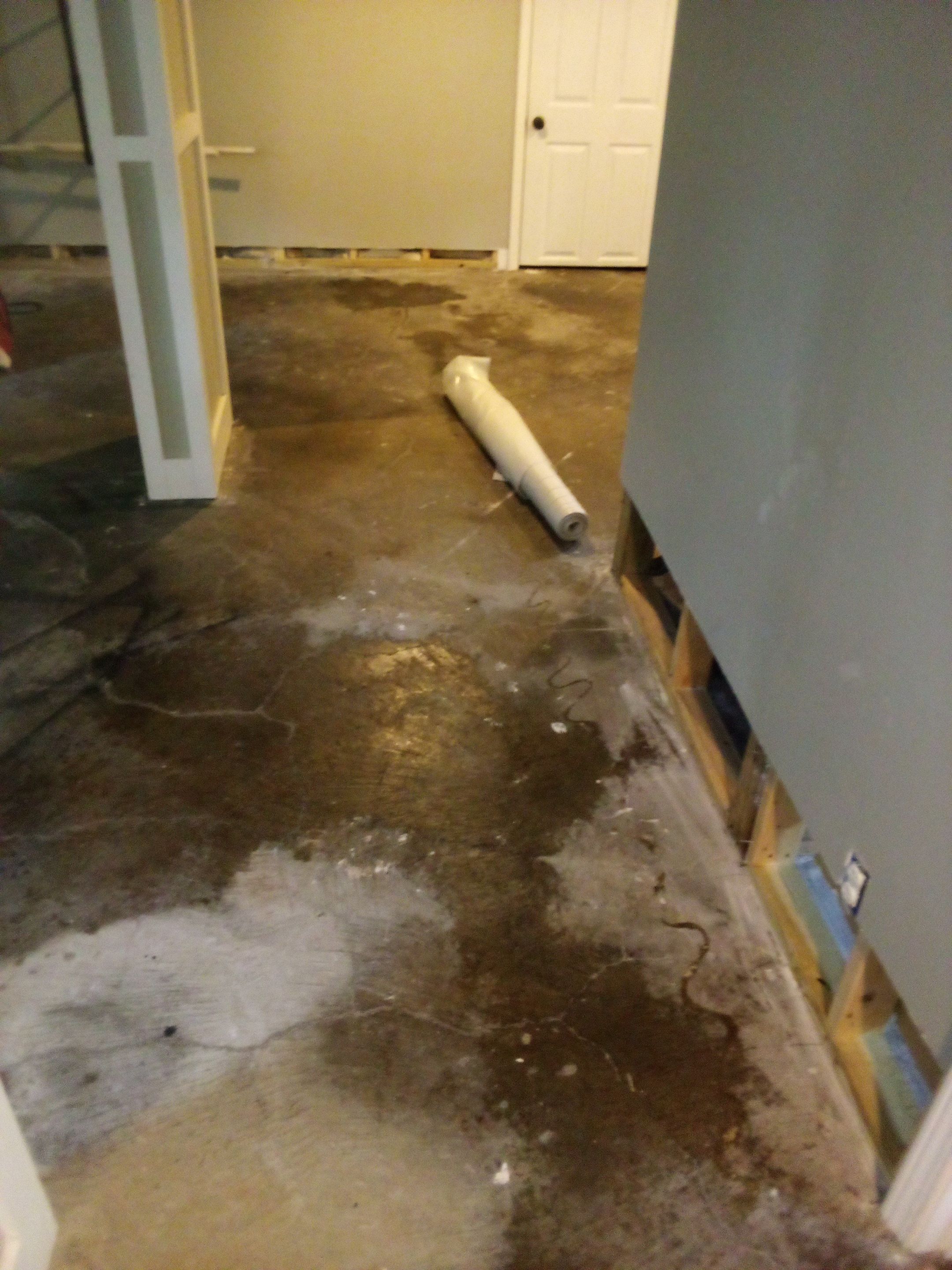 Mold Remediation in Shelbyville, KY by ANR Restoration