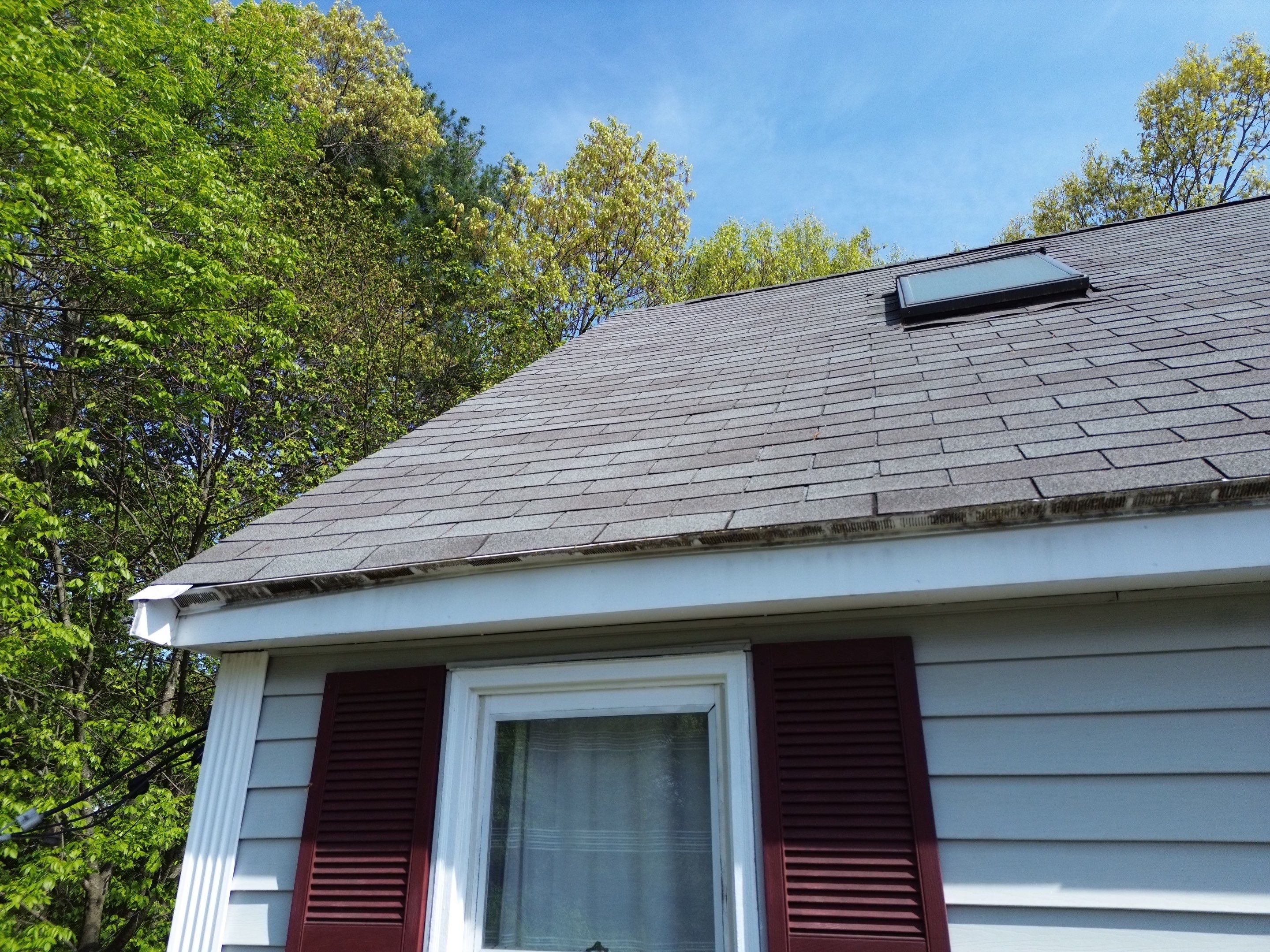 Siding, Roofing & Skylights | Haverhill by Mighty Dog Roofing of Greater Middlesex County
