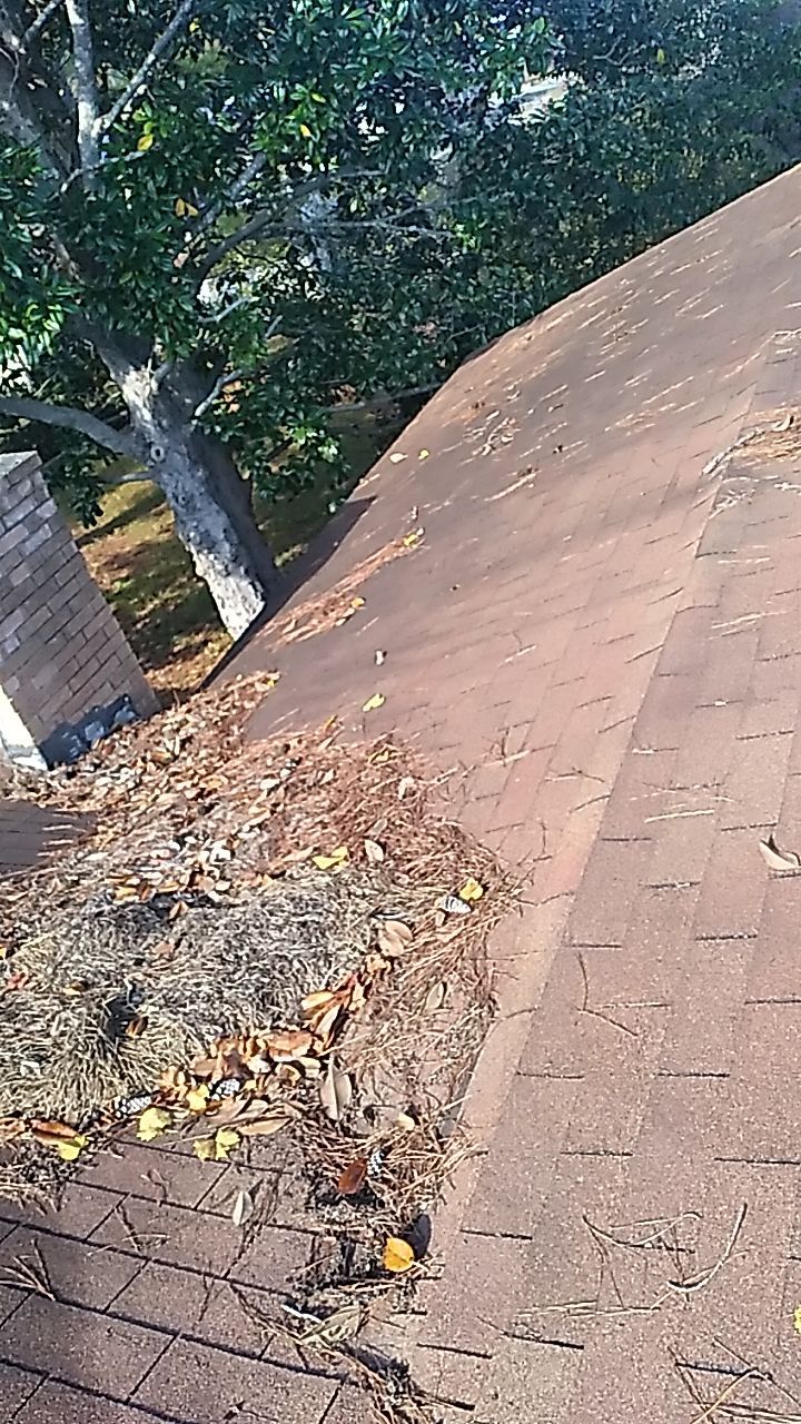Residential Leak Repair by Indigo State Roofing