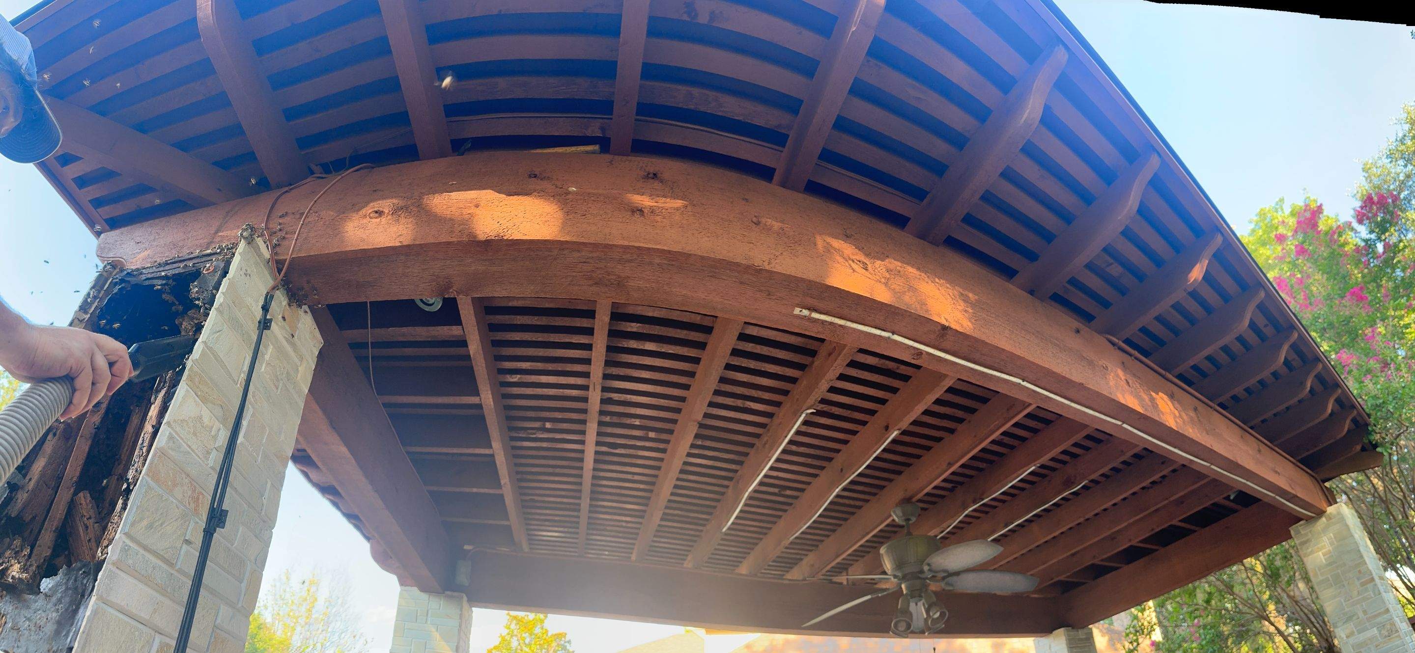 Scary Pergola by Rockwall Honey Bee Company