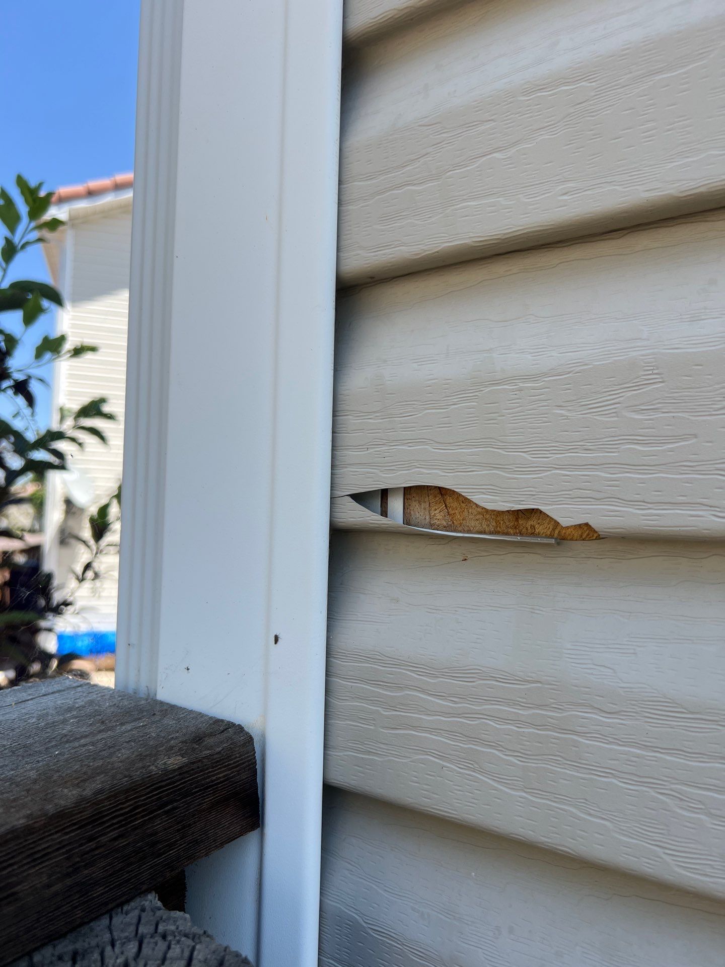 Coming Soon! Hail Damage Repair by 1st choice windows and siding