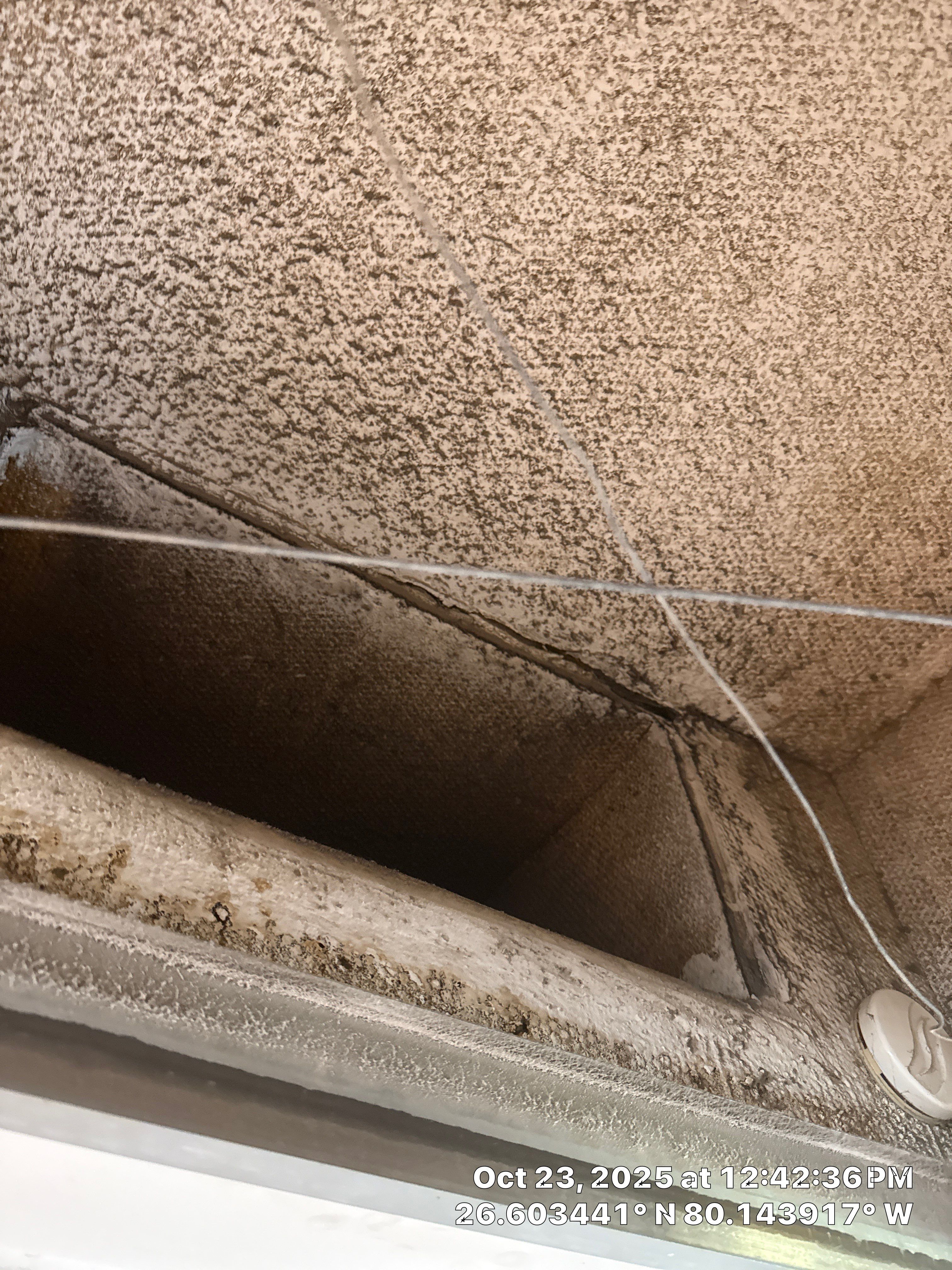 Mold by SuperClean 