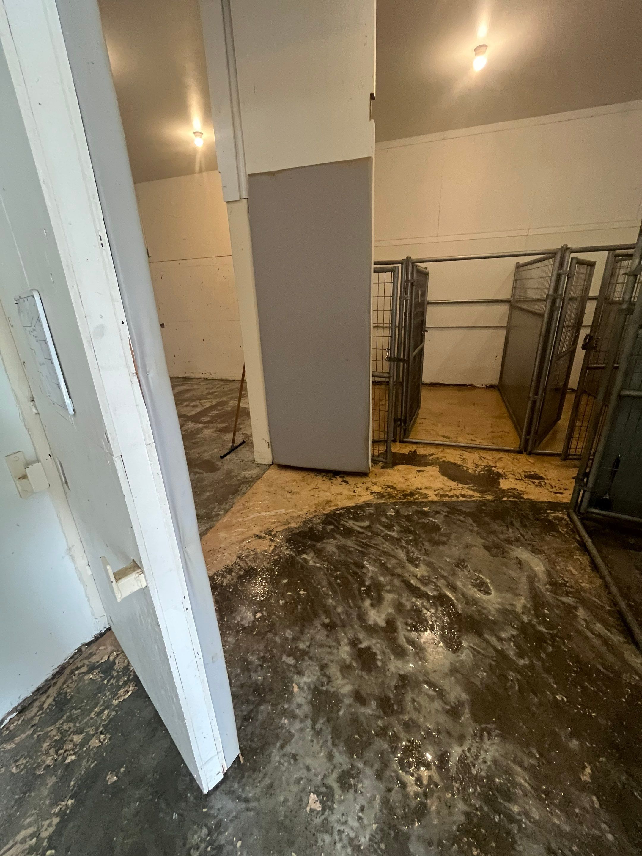 Durable Commercial Concrete Coatings for Brandon Valley Veterinary Clinic by Select Painting, Coatings & Garage Cabinets