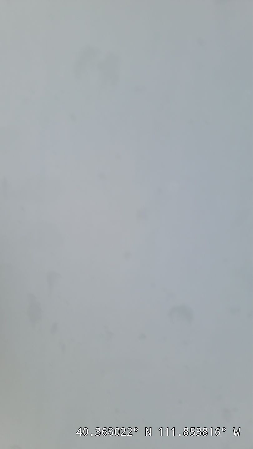 Roof Replacement After Hail Damage – Insurance Approved by ASAP Roofing & Exteriors