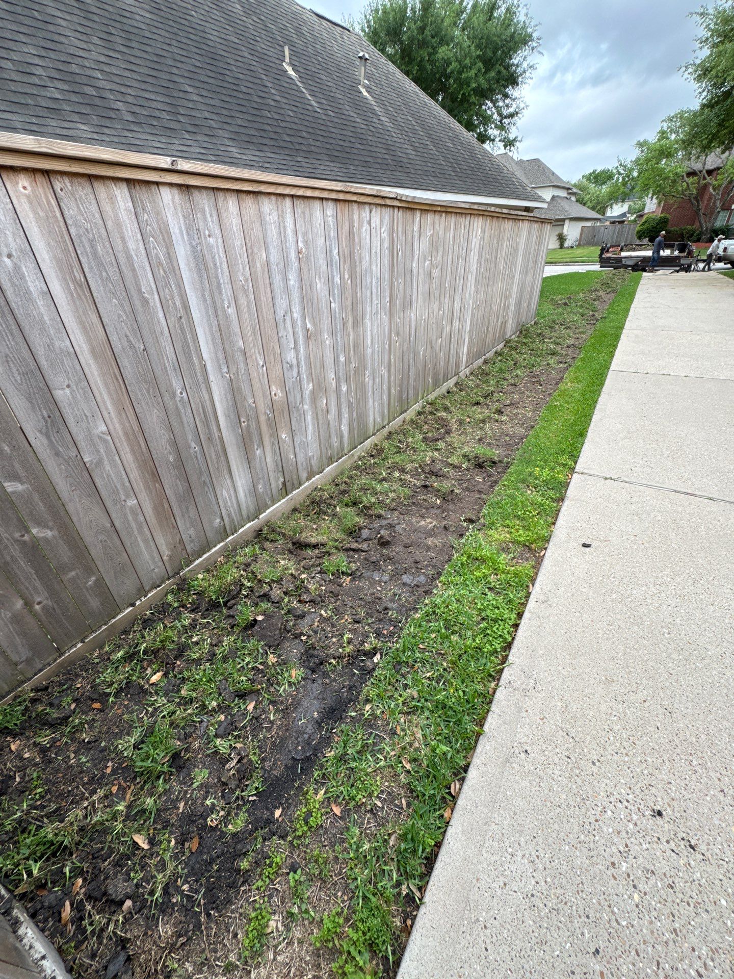 🌿 Mrs. Coleman’s Lawn & Drainage Restoration by Texas Urban Elements