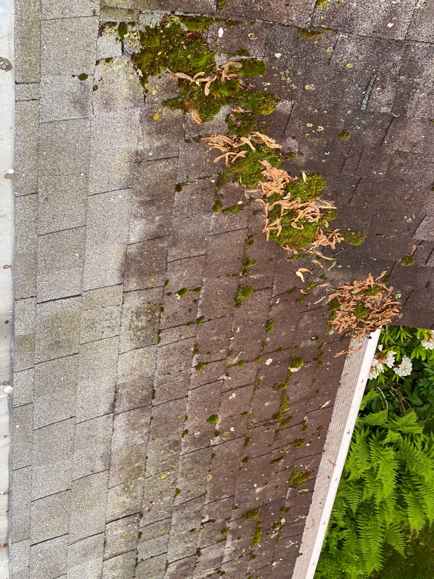Roofing | Concord by Mighty Dog Roofing of Greater Middlesex County