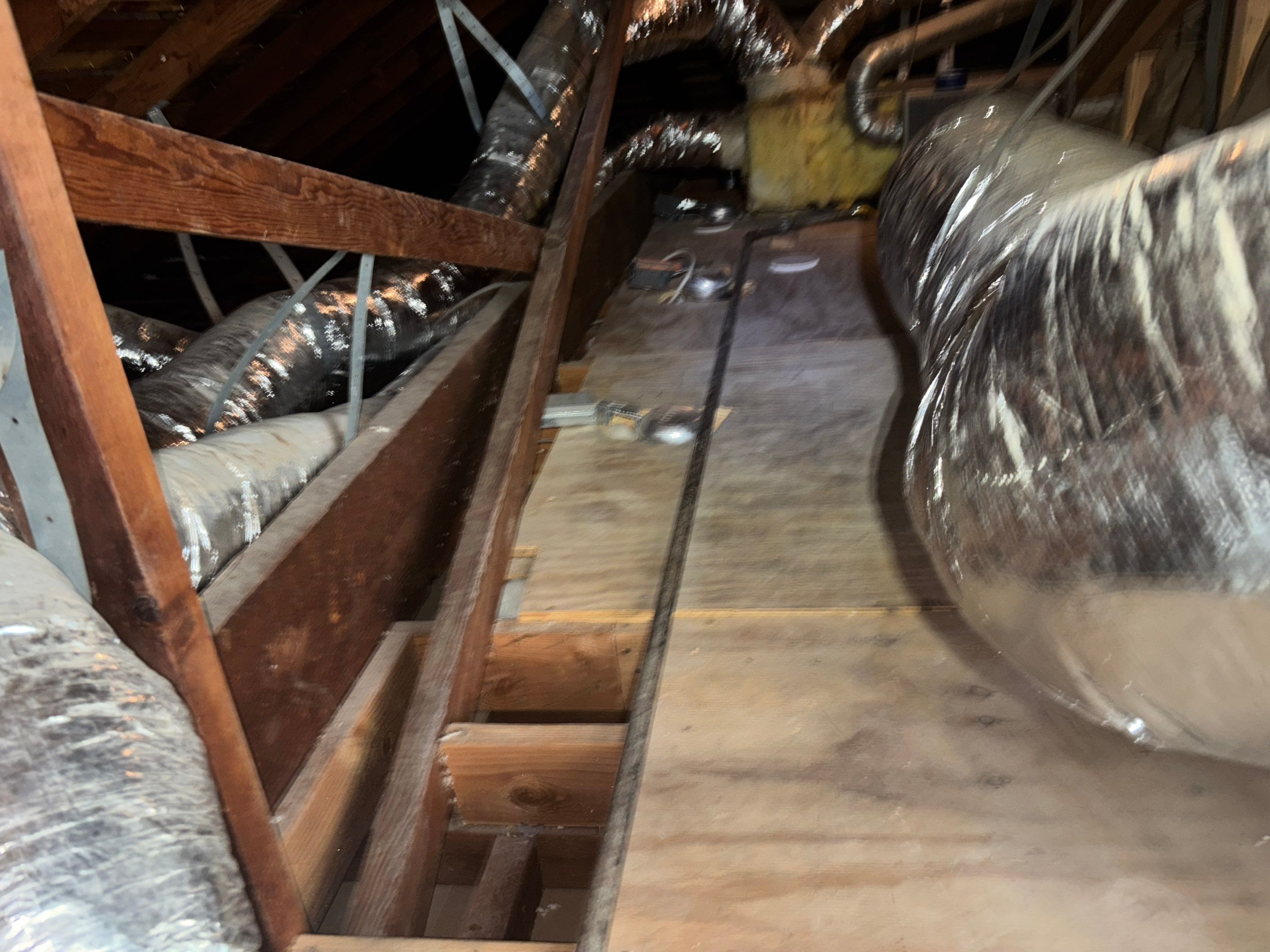 Project in Culver City by Insulation Labs