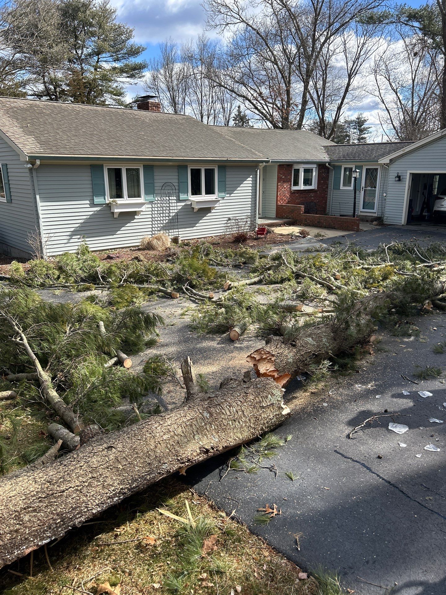 Tree Removal by LaMere Landscaping and Property Maintenance