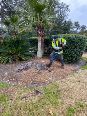 Deerwood Resident | Tree Install