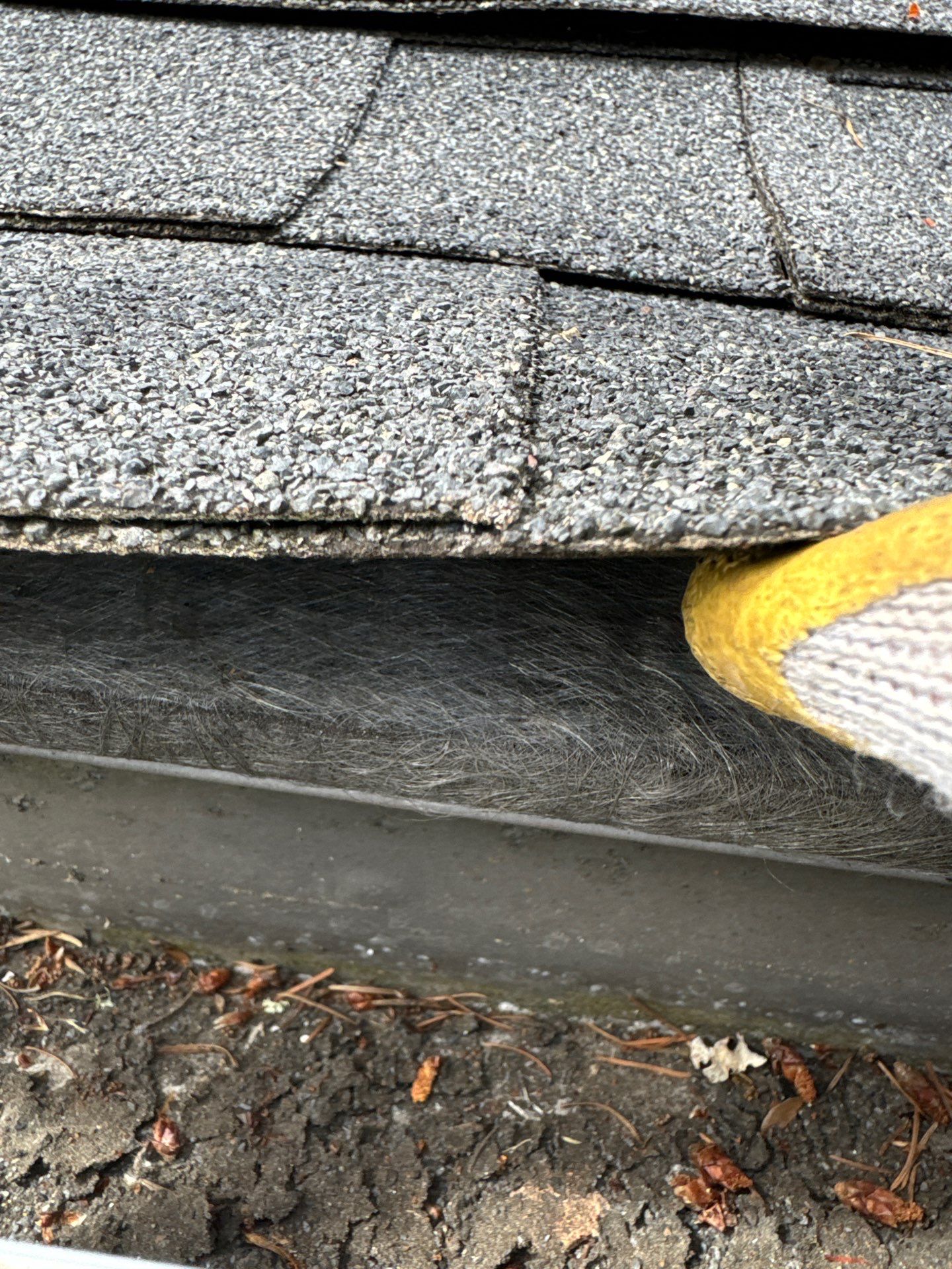 Project in Lakewood by Peaks and Valleys Construction