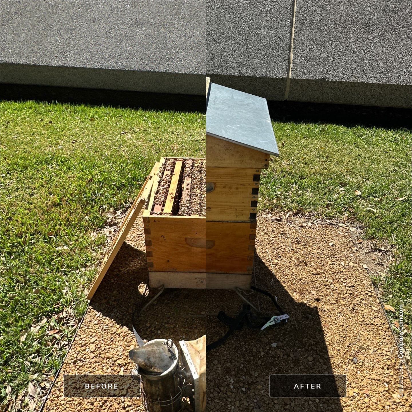 Addison by Rockwall Honey Bee Company