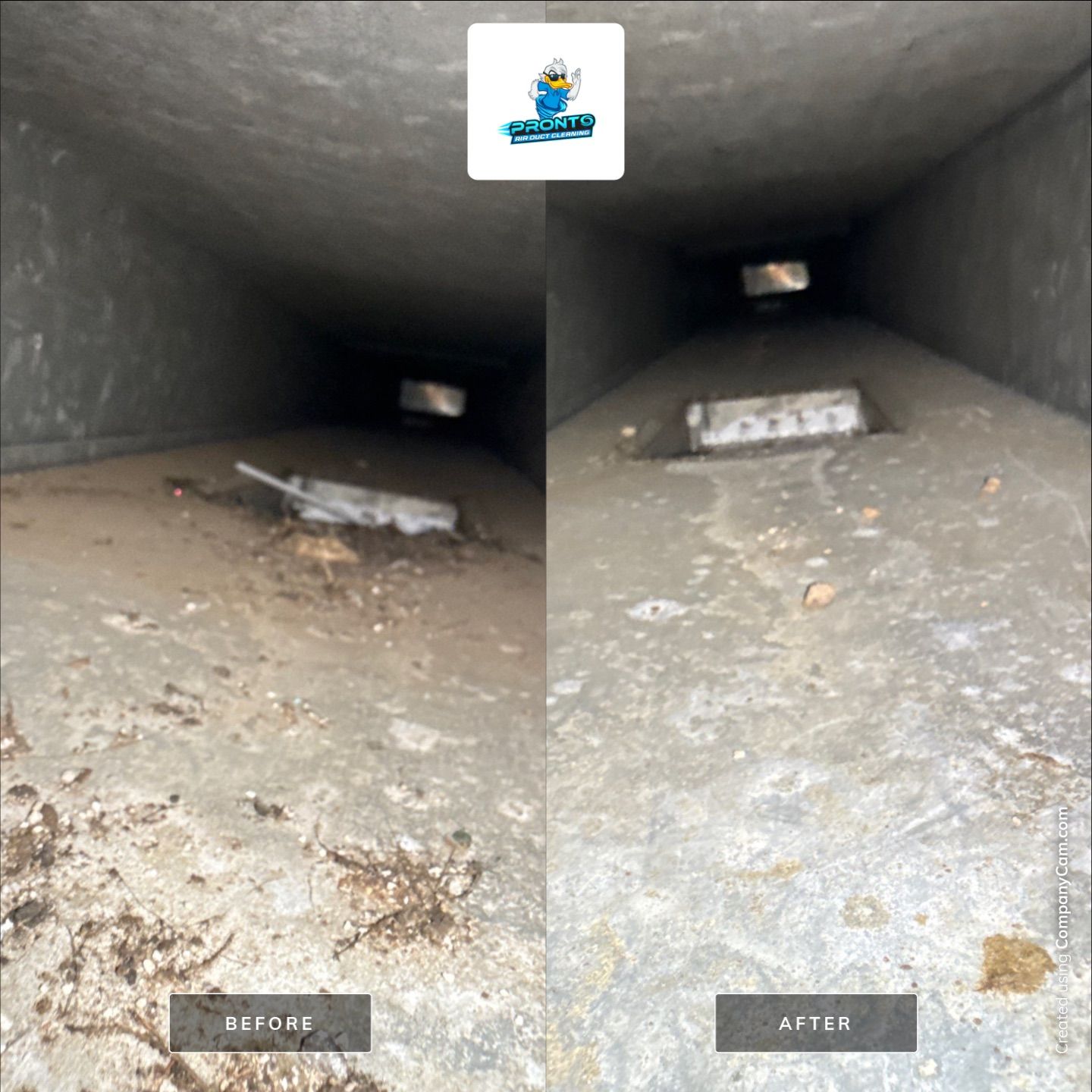 Duct Cleaning Alexandria, VA by Pronto Air Duct Cleaning