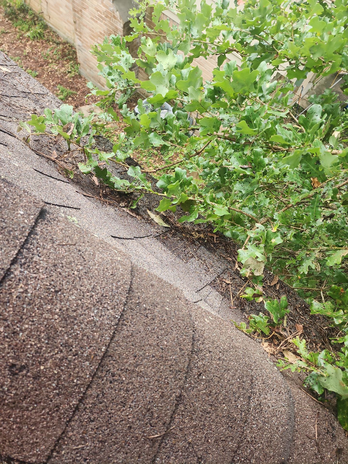 Hail Damage using Owen's Corning Duration (Lifetime) Shingles by Roof Repair Company