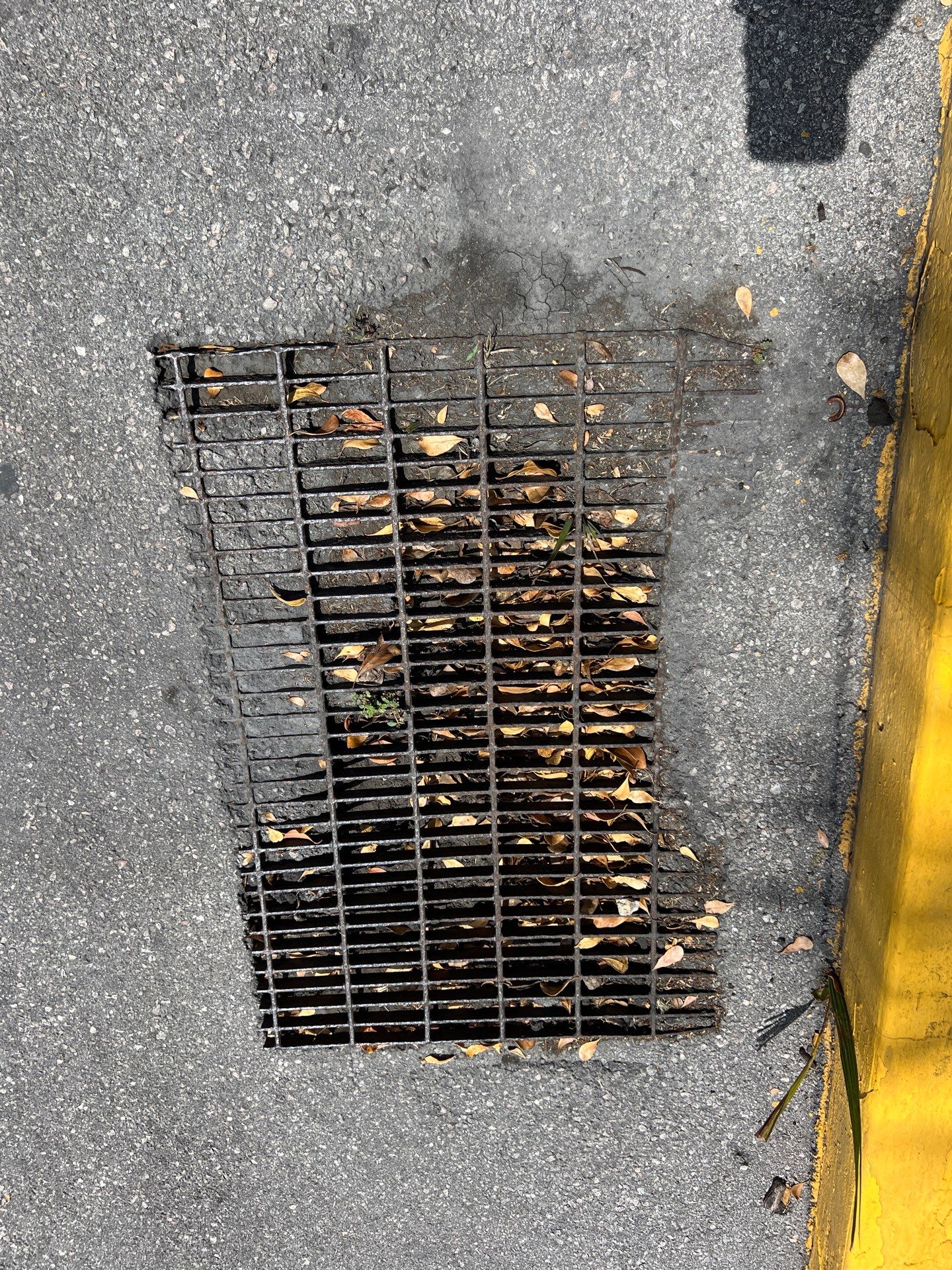 Marco Island Condo Stormwater System Maintenance by Don Mar, Inc. Storm Water Solutions