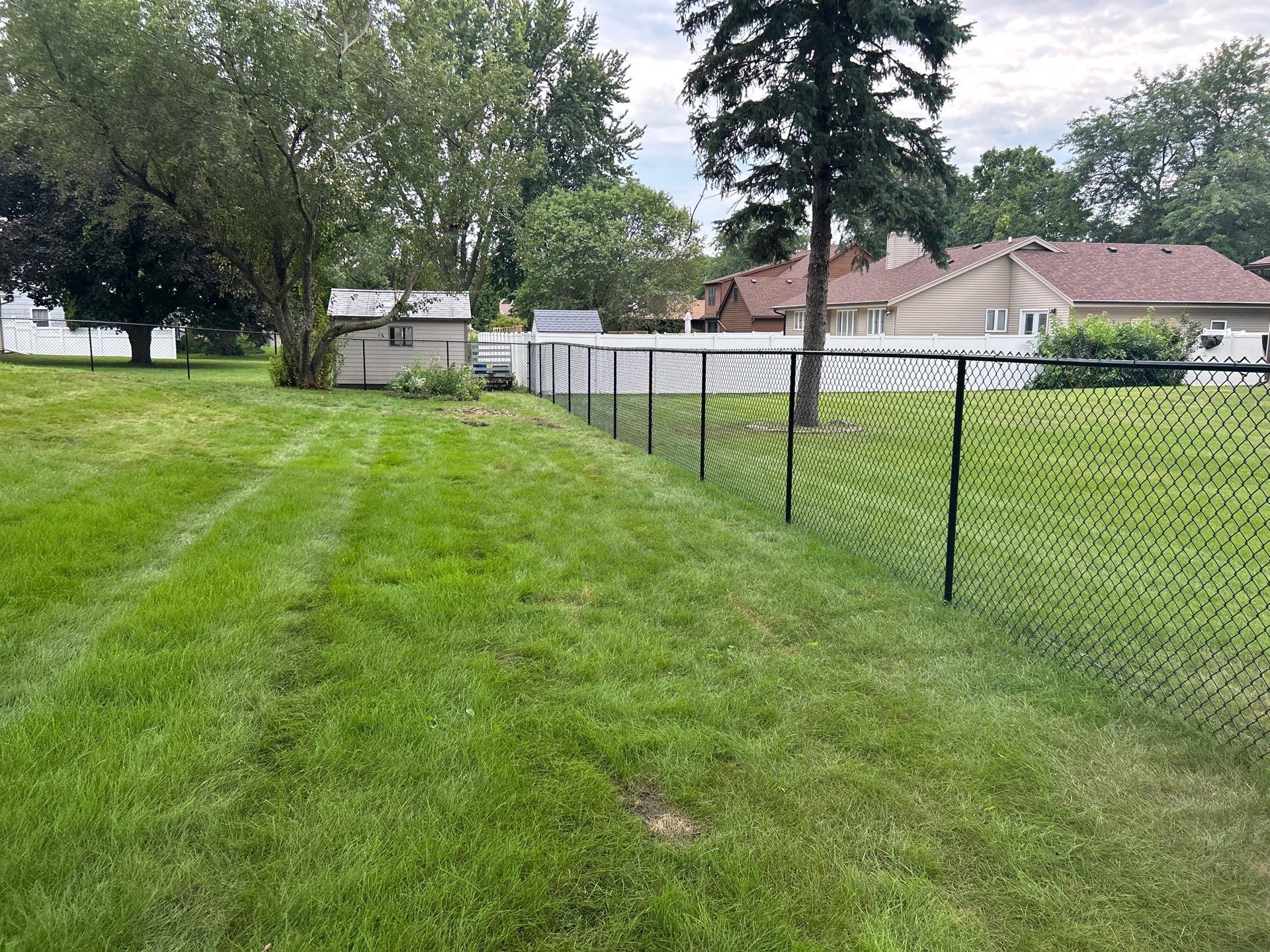 Black Vinyl-Coated Chain Link Fence Installation in Waterloo by Perfect Picket Fence and Stain