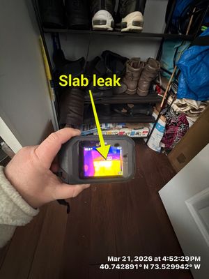 Water Damage Repair and Water Heater Replacement in Levittown